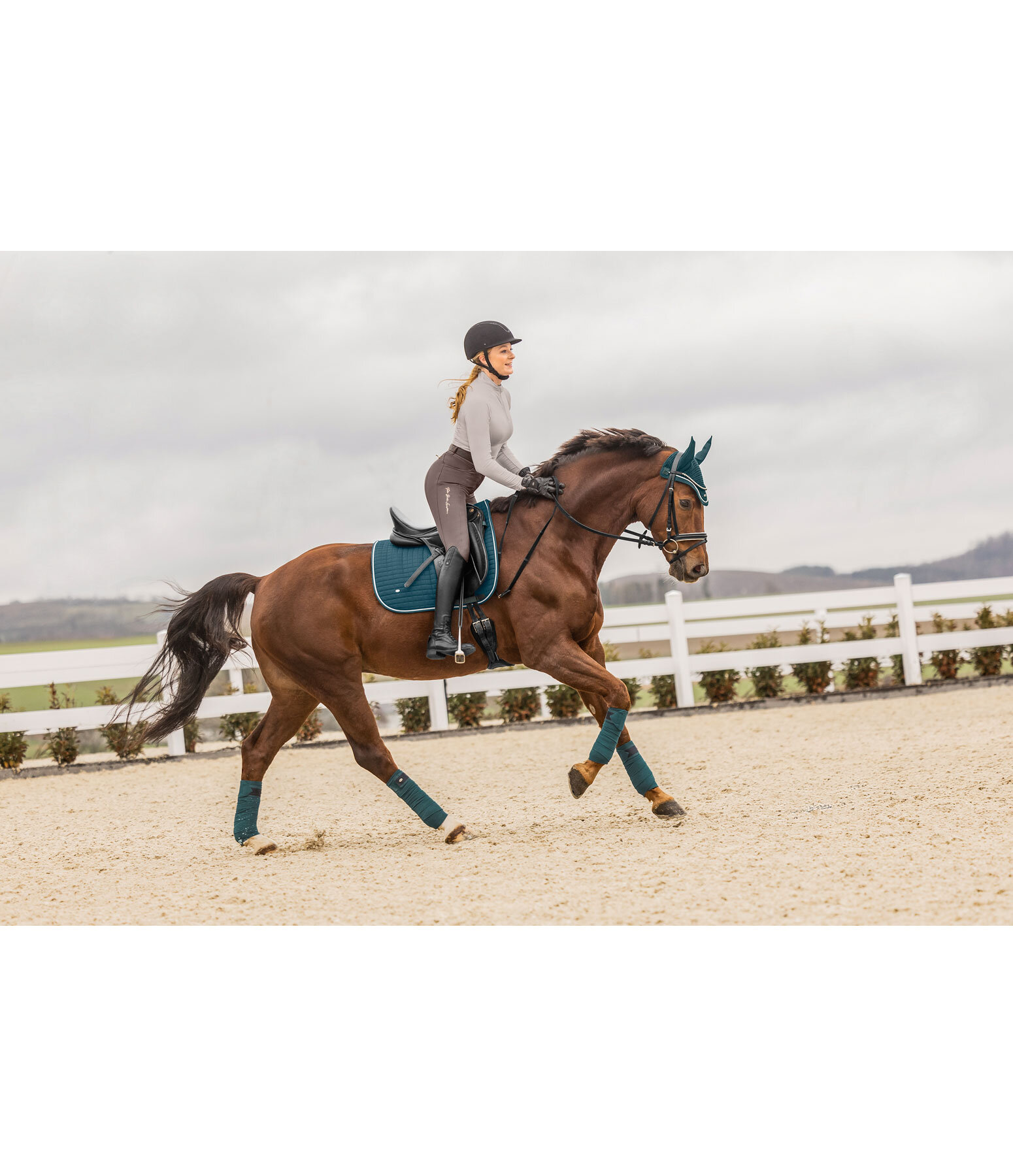 Saddle Pad Basic