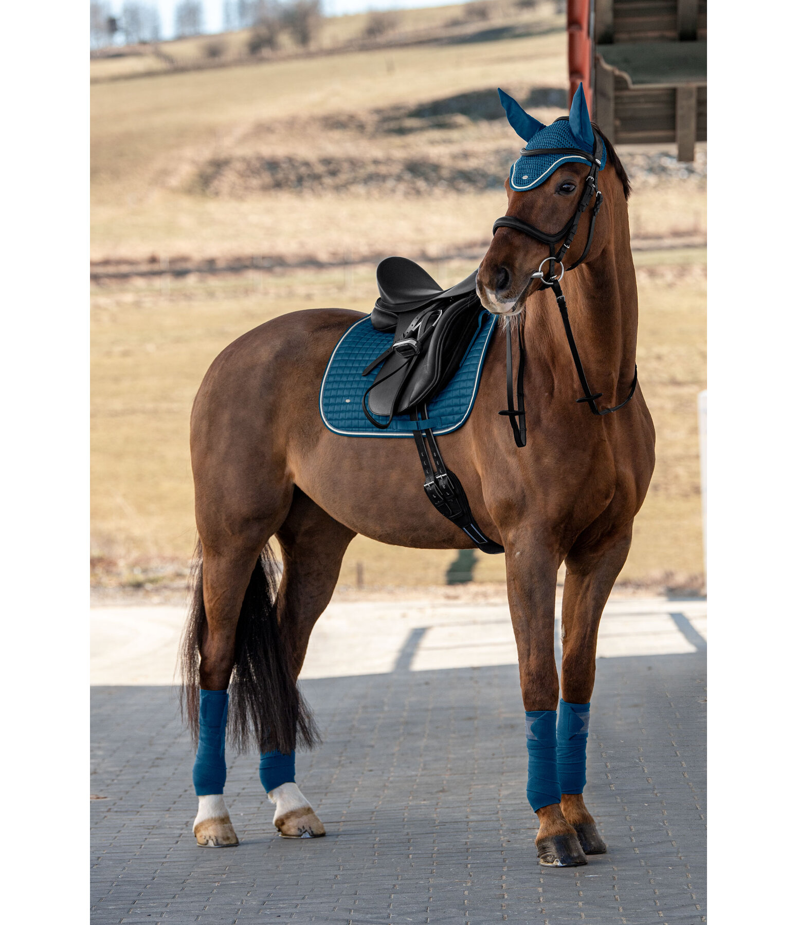 Saddle Pad Basic