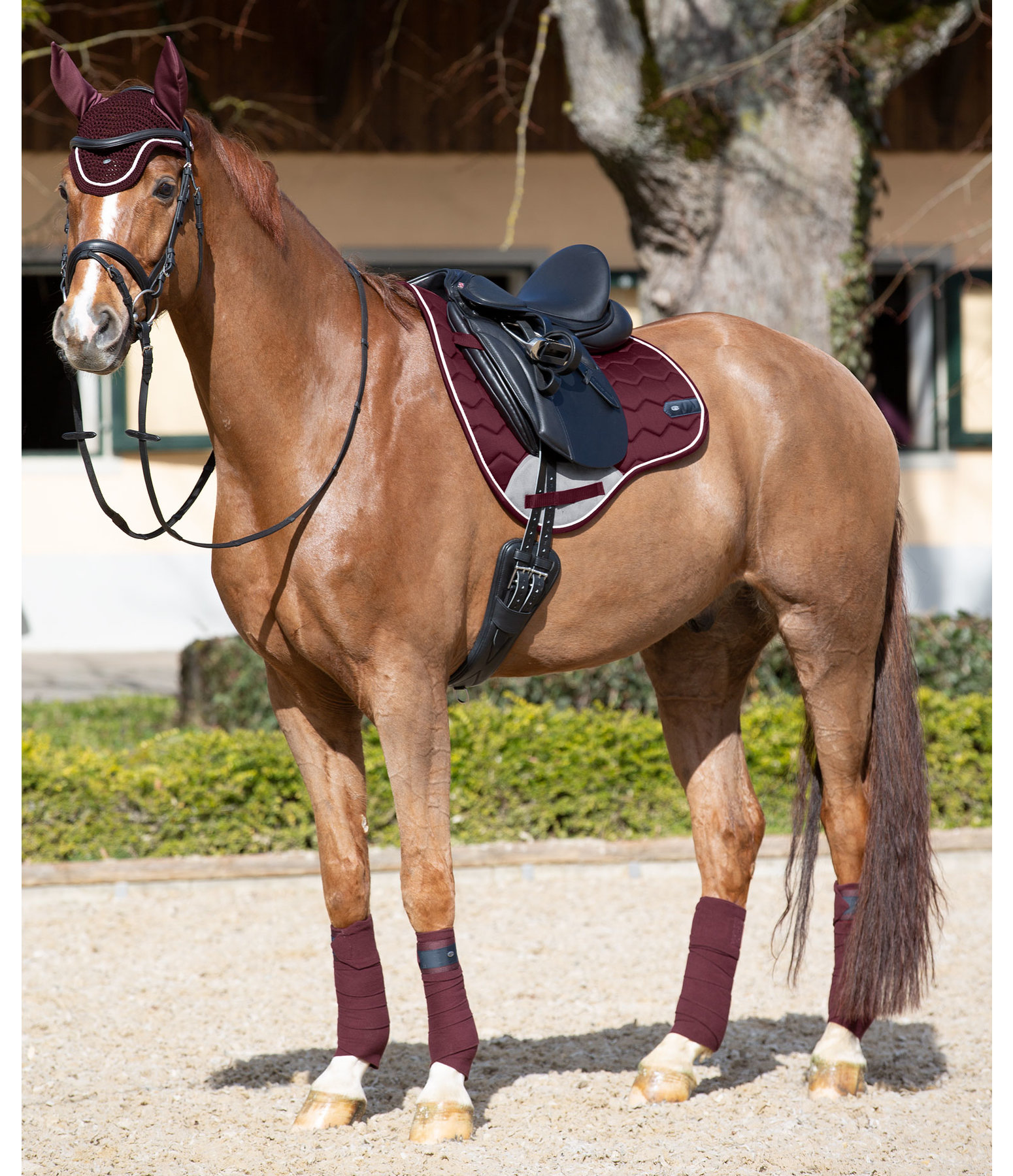 Saddle Pad Basic Pro