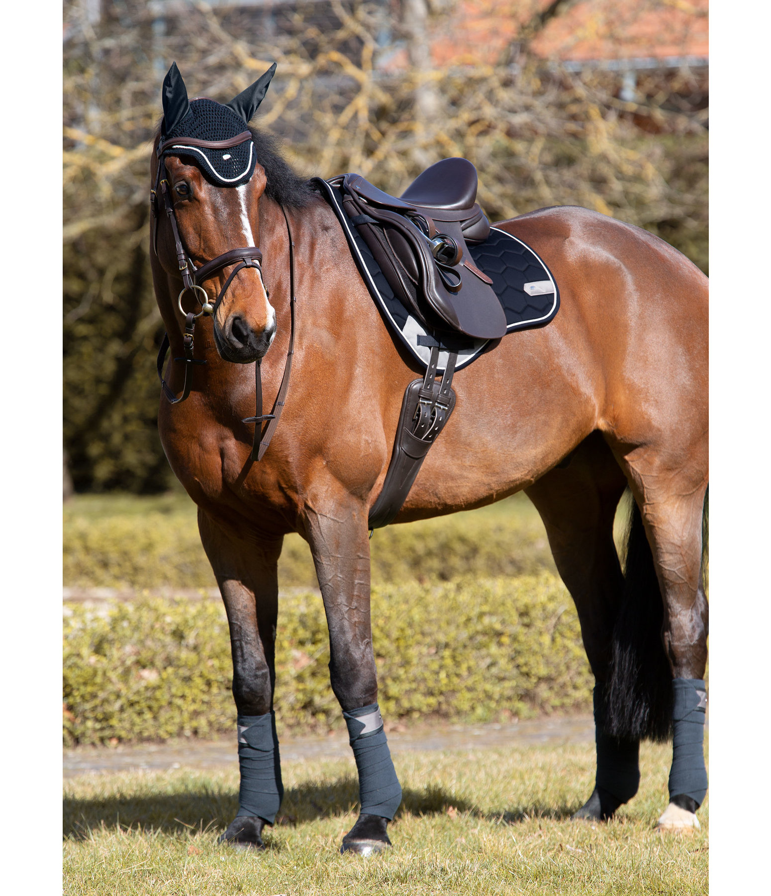 Saddle Pad Basic Pro