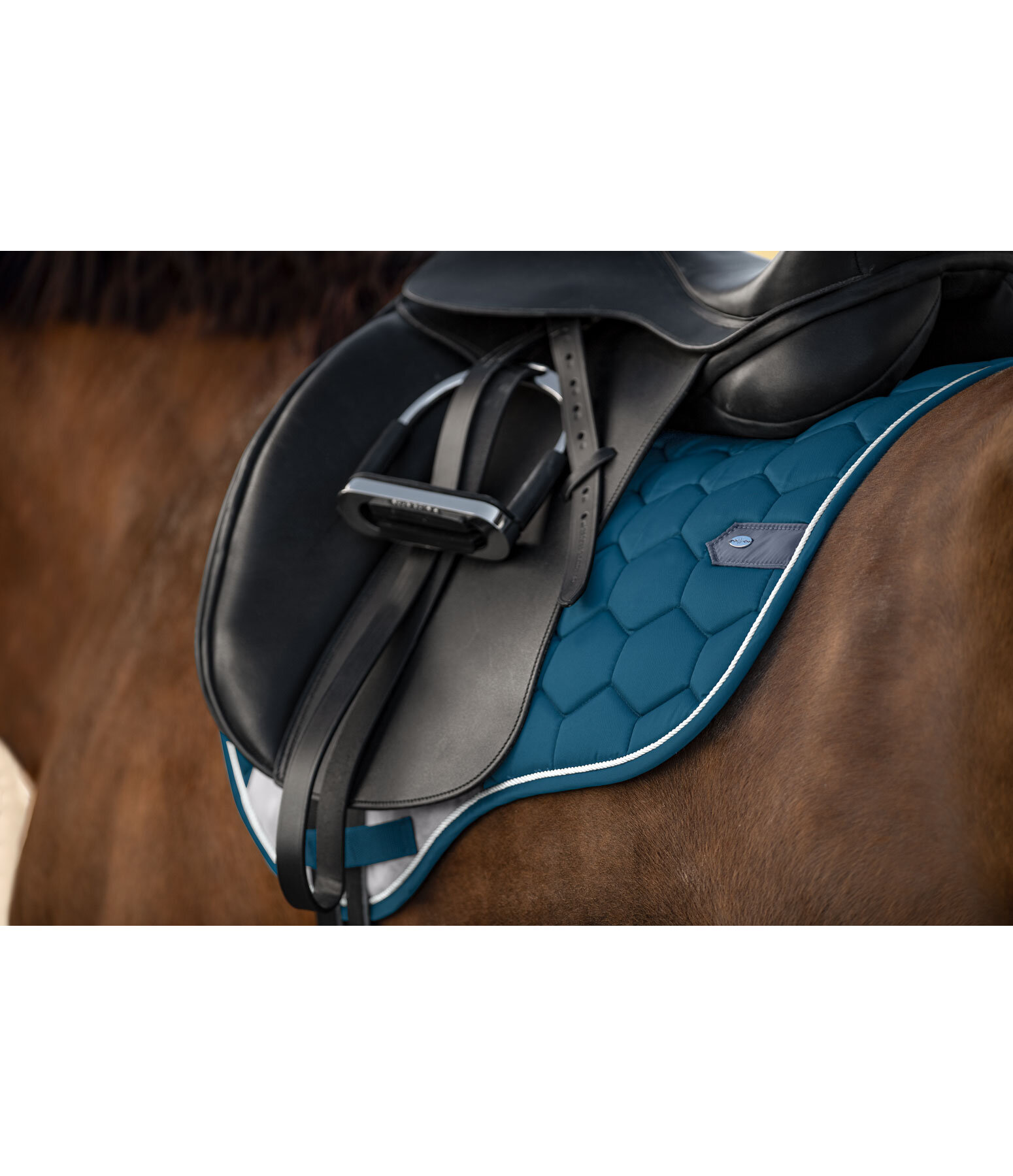 Saddle Pad Basic Pro