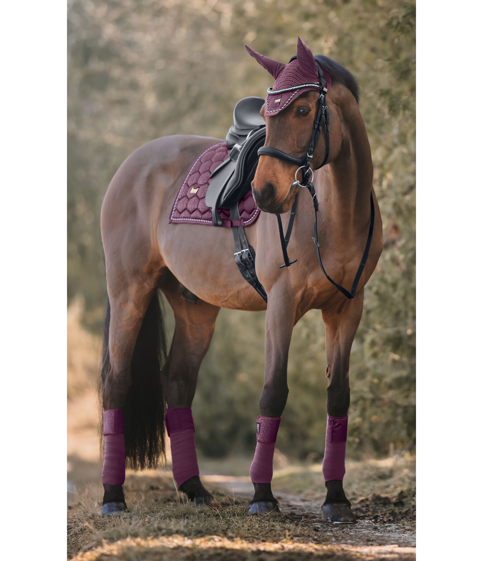 Saddle Pad Sparkling II