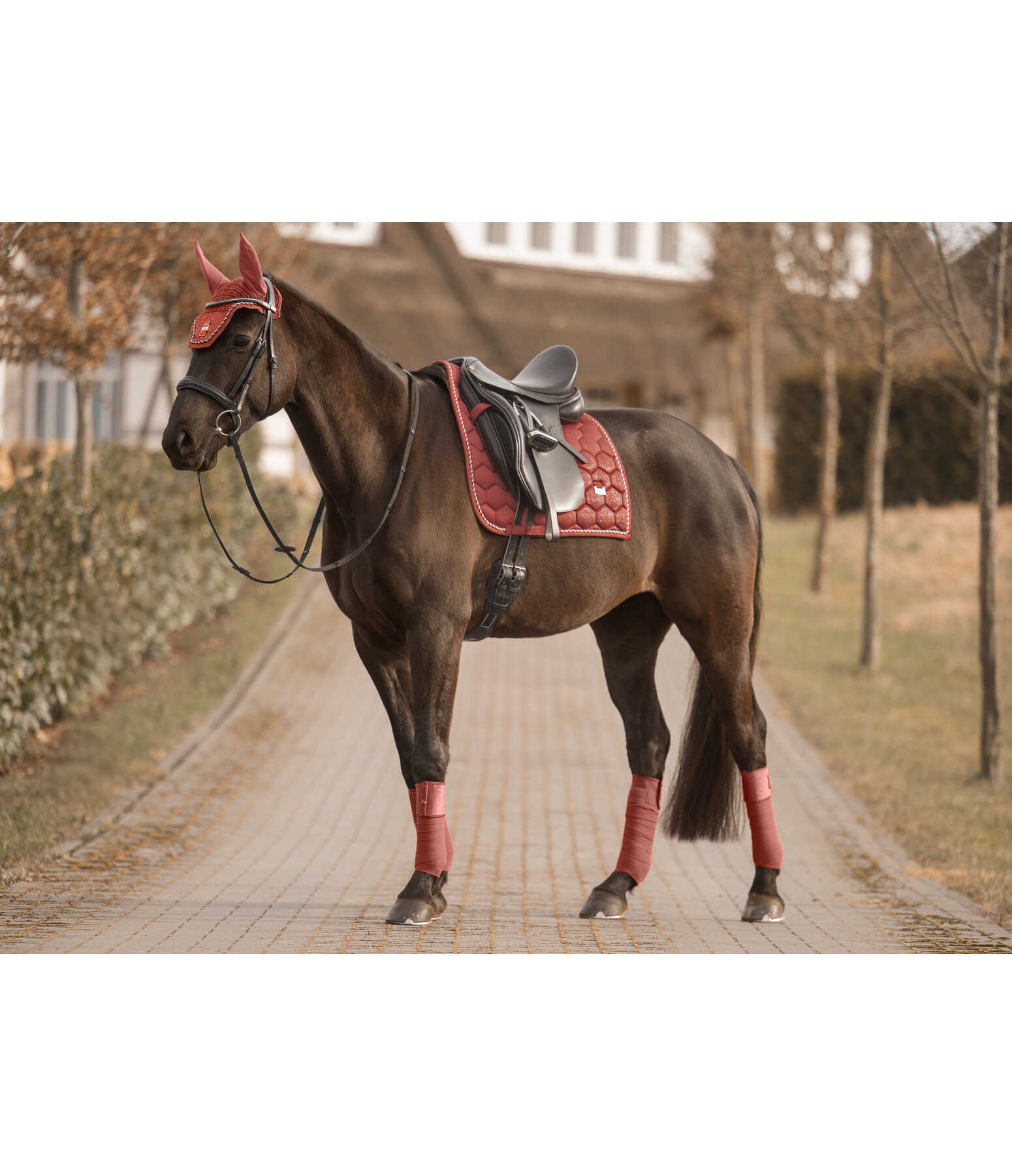 Saddle Pad Sparkling II