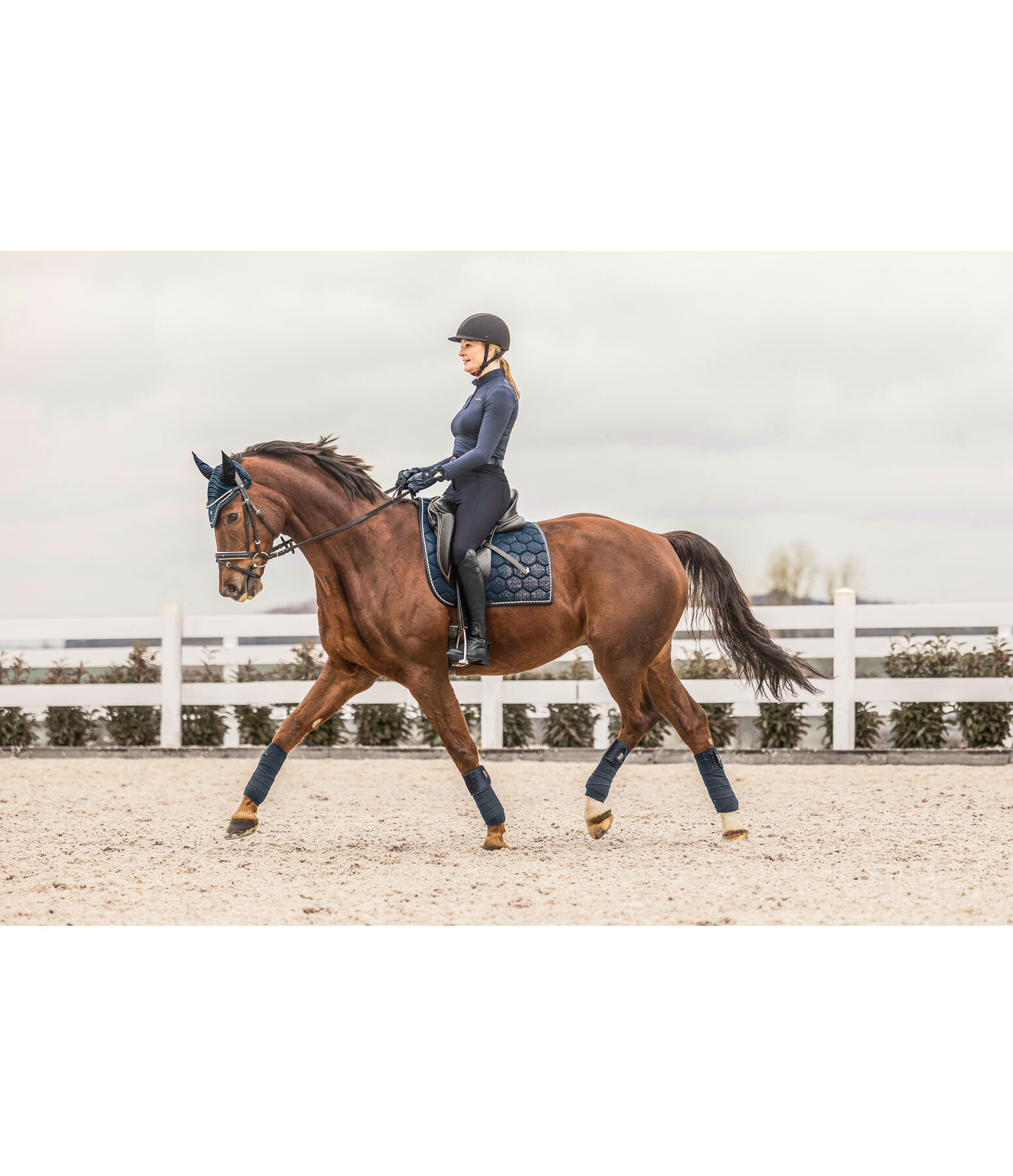 Saddle Pad Sparkling II