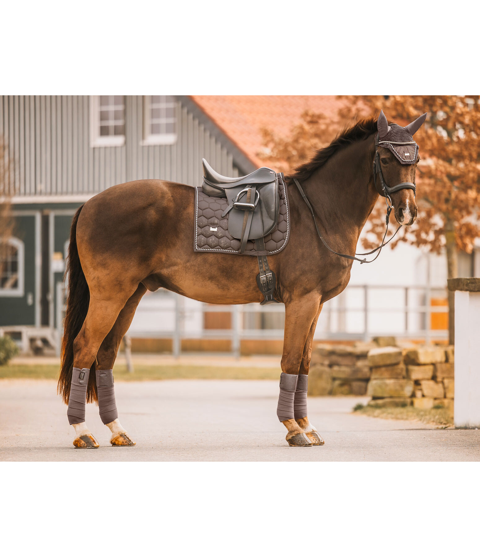 Saddle Pad Sparkling II