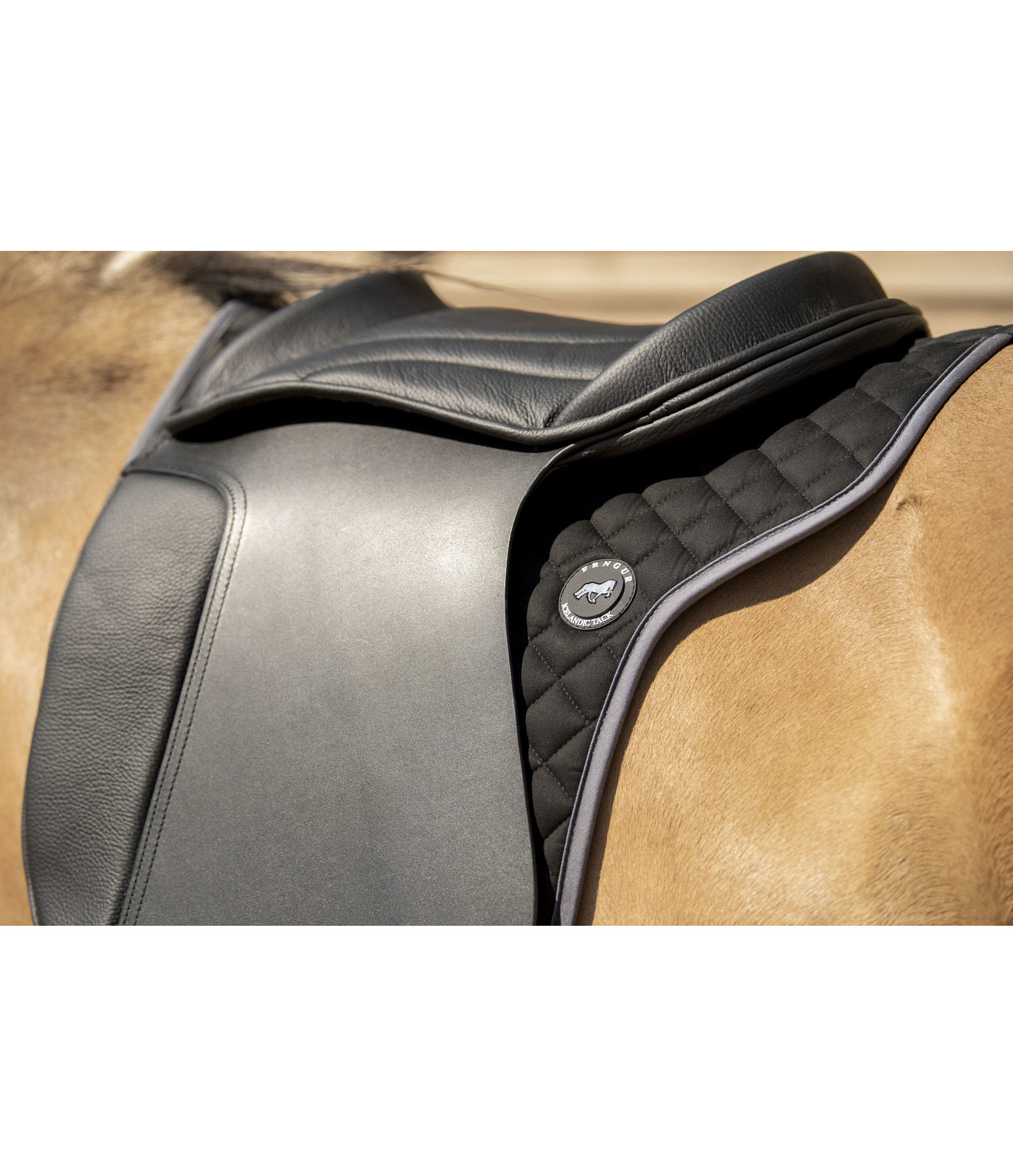 Saddle Pad Basic