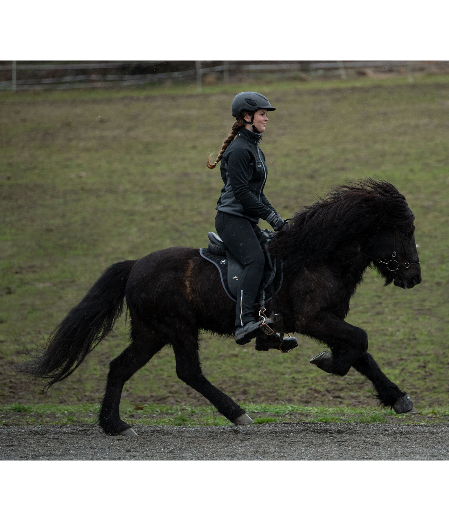 Saddle Pad Basic