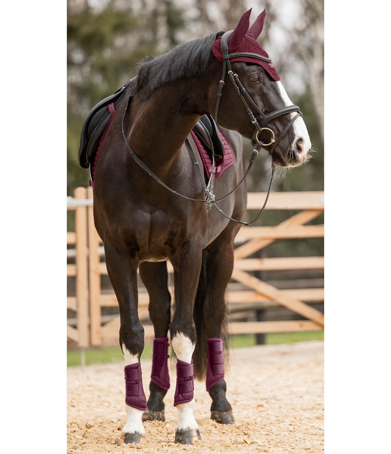 Saddle Pad Athletic