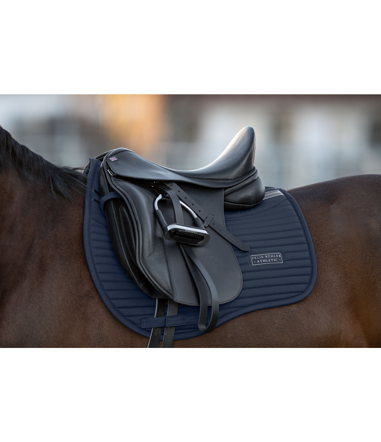 Saddle Pad Athletic