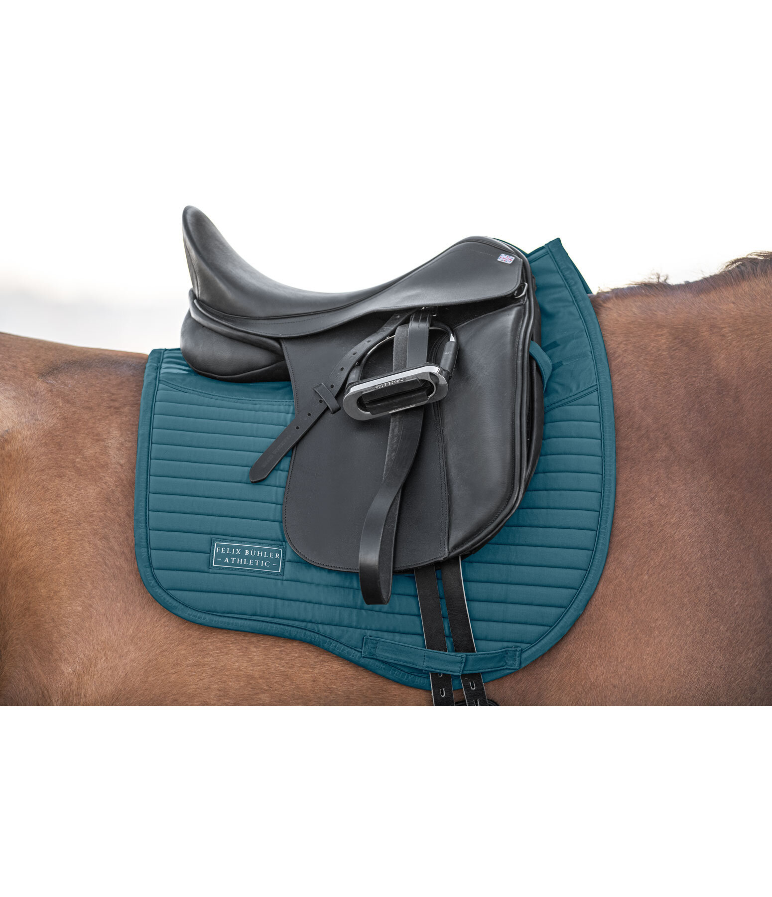 Saddle Pad Athletic