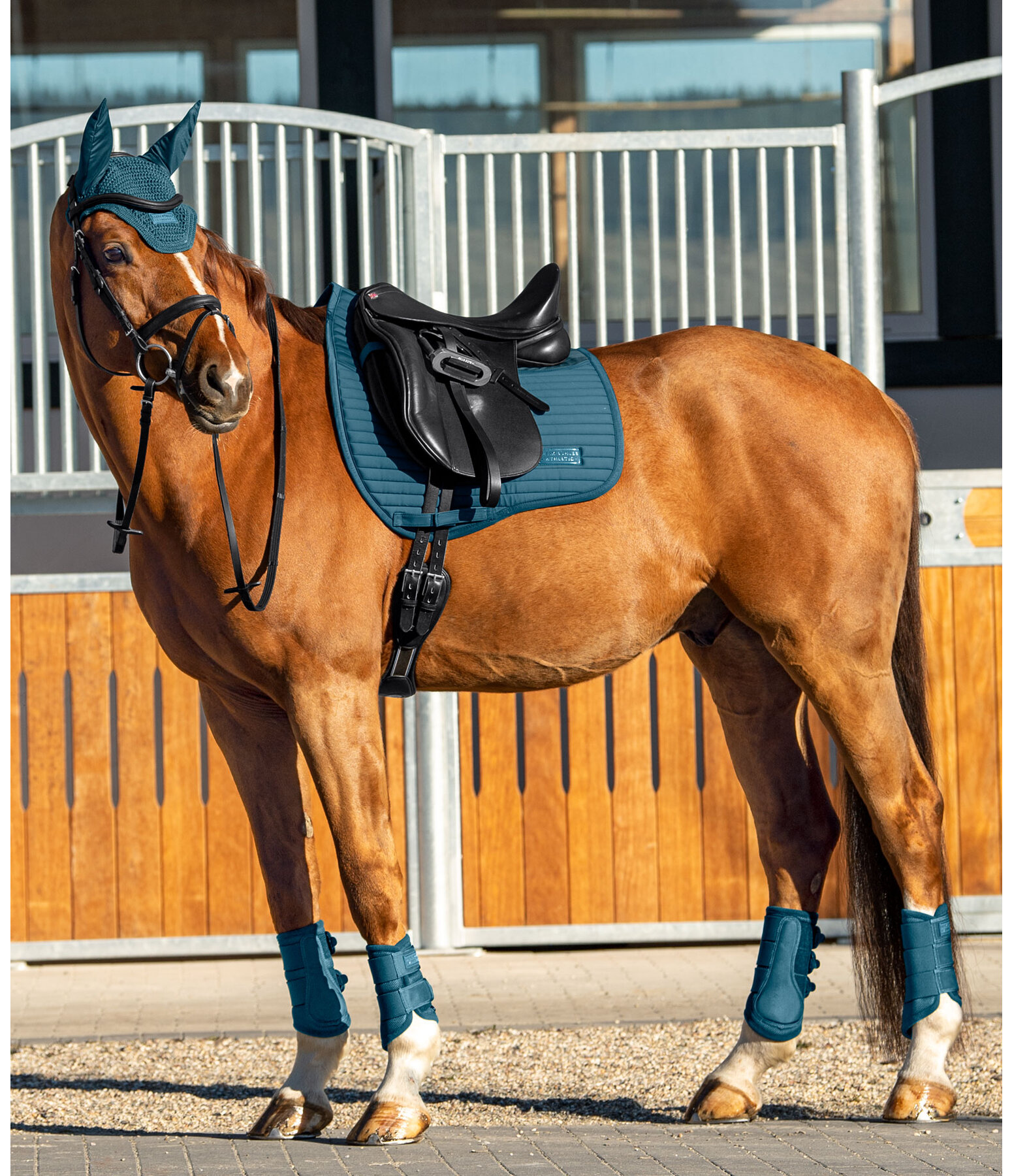 Saddle Pad Athletic