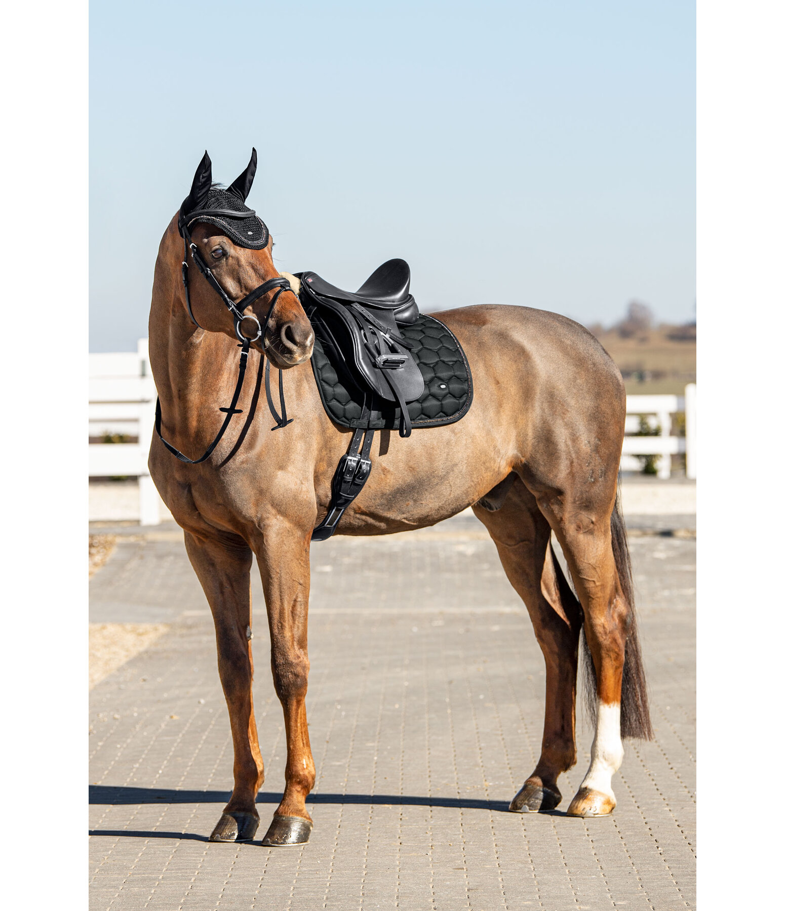 Crystal Chain Saddle Pad