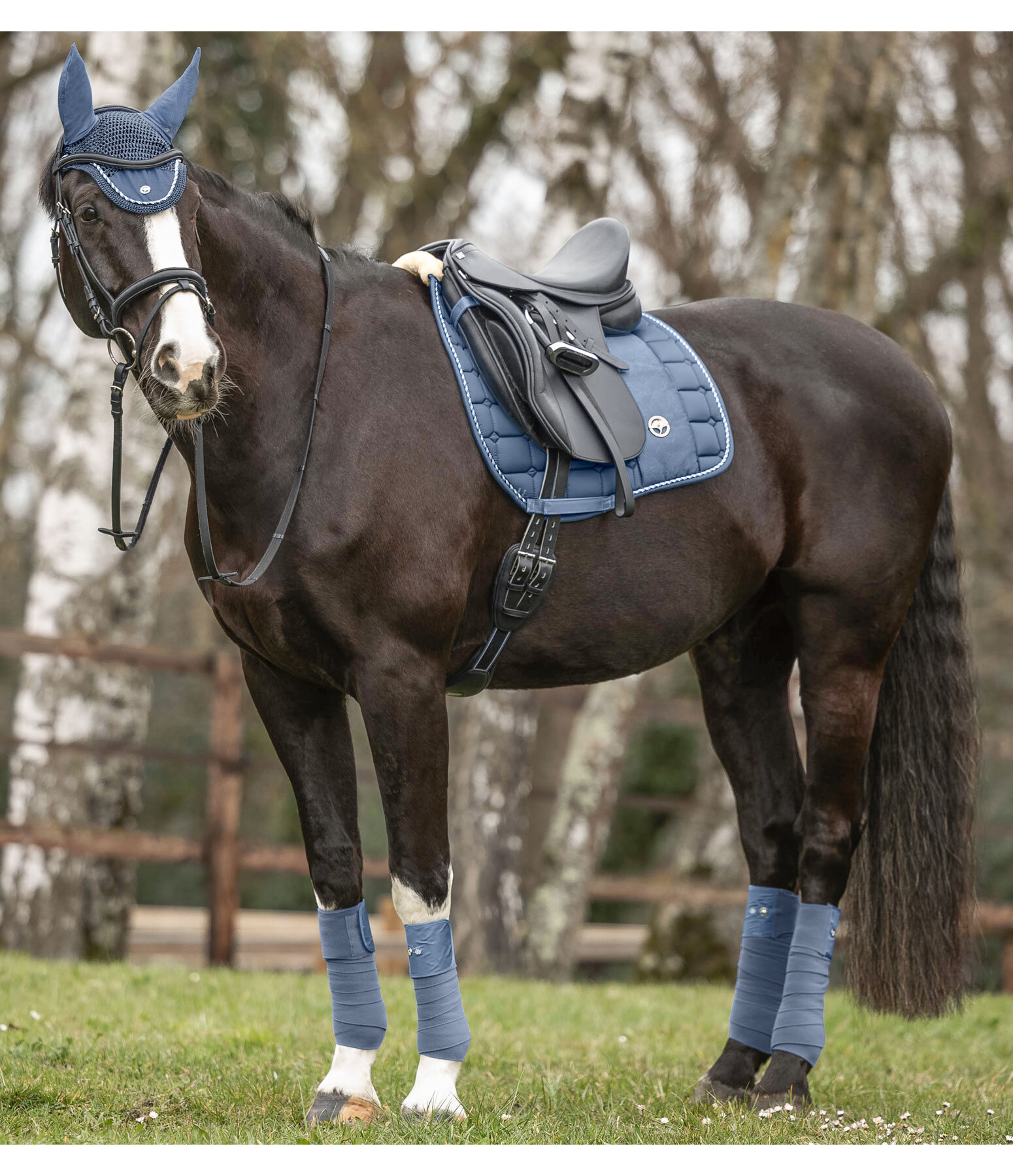 Saddle Pad Hope