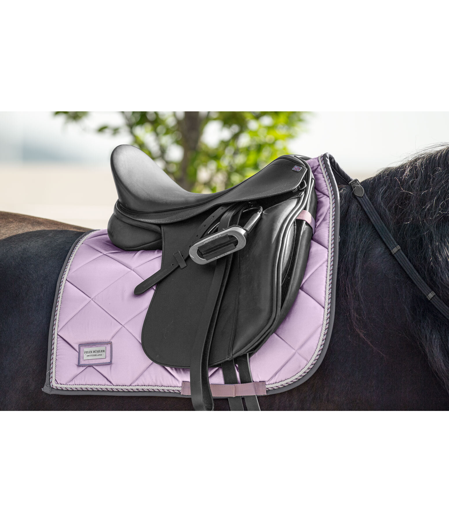 Saddle Pad Swiss Design