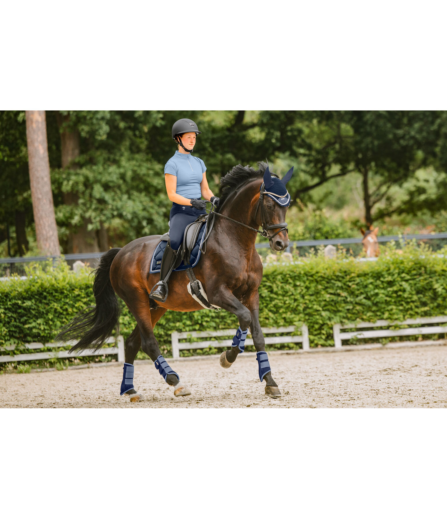 Saddle Pad Swiss Design