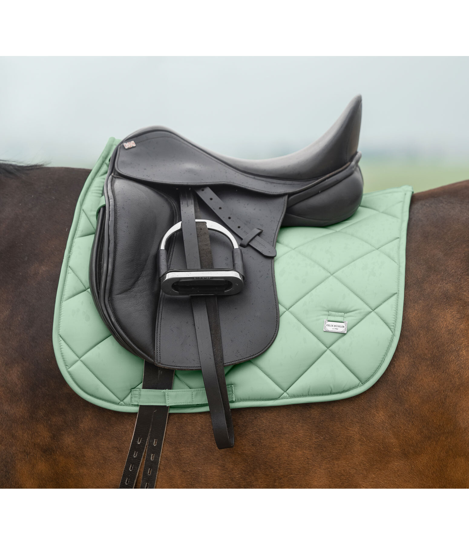 Saddle Pad Essential Standard