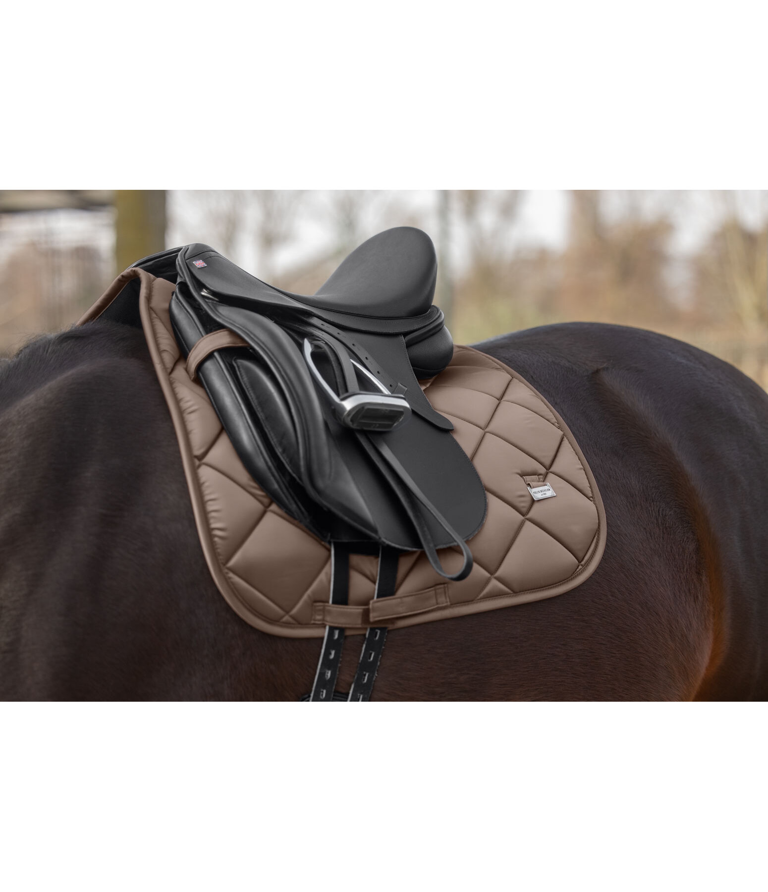 Saddle Pad Essential Standard