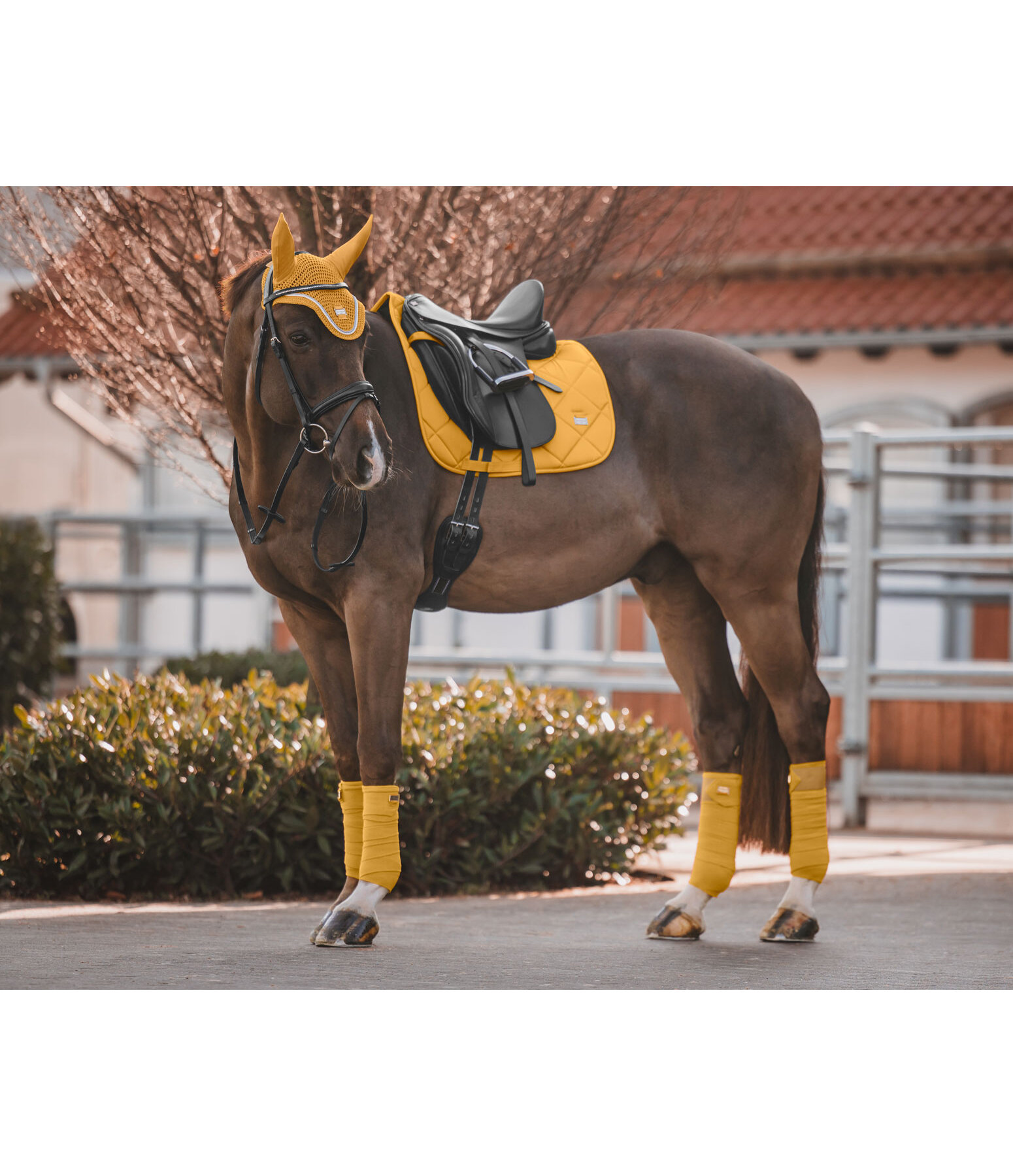 Saddle Pad Essential Standard