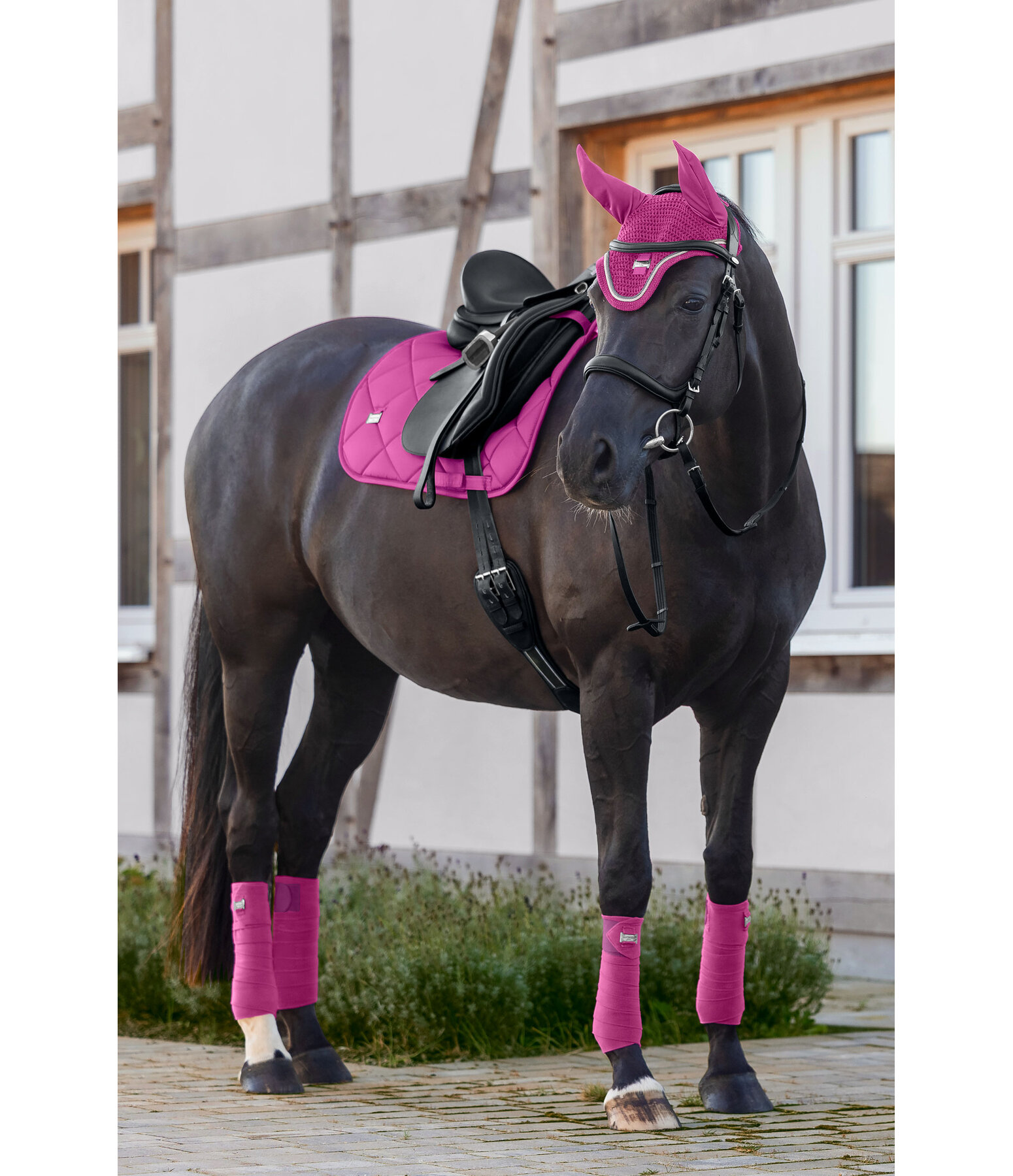 Saddle Pad Essential Standard