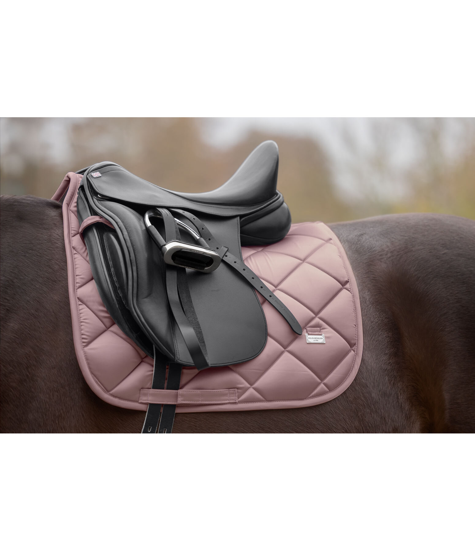Saddle Pad Essential Standard