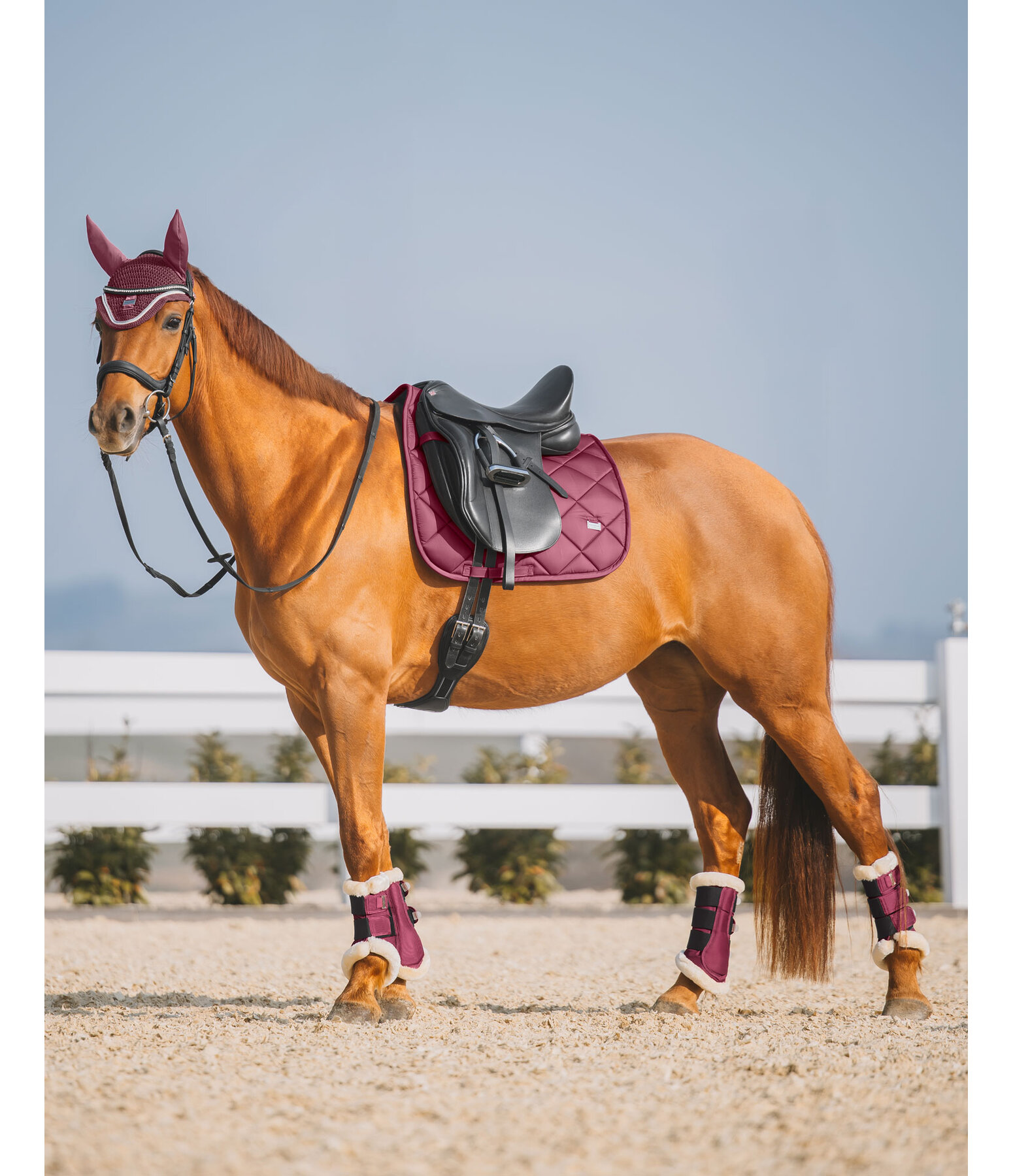 Saddle Pad Essential Standard