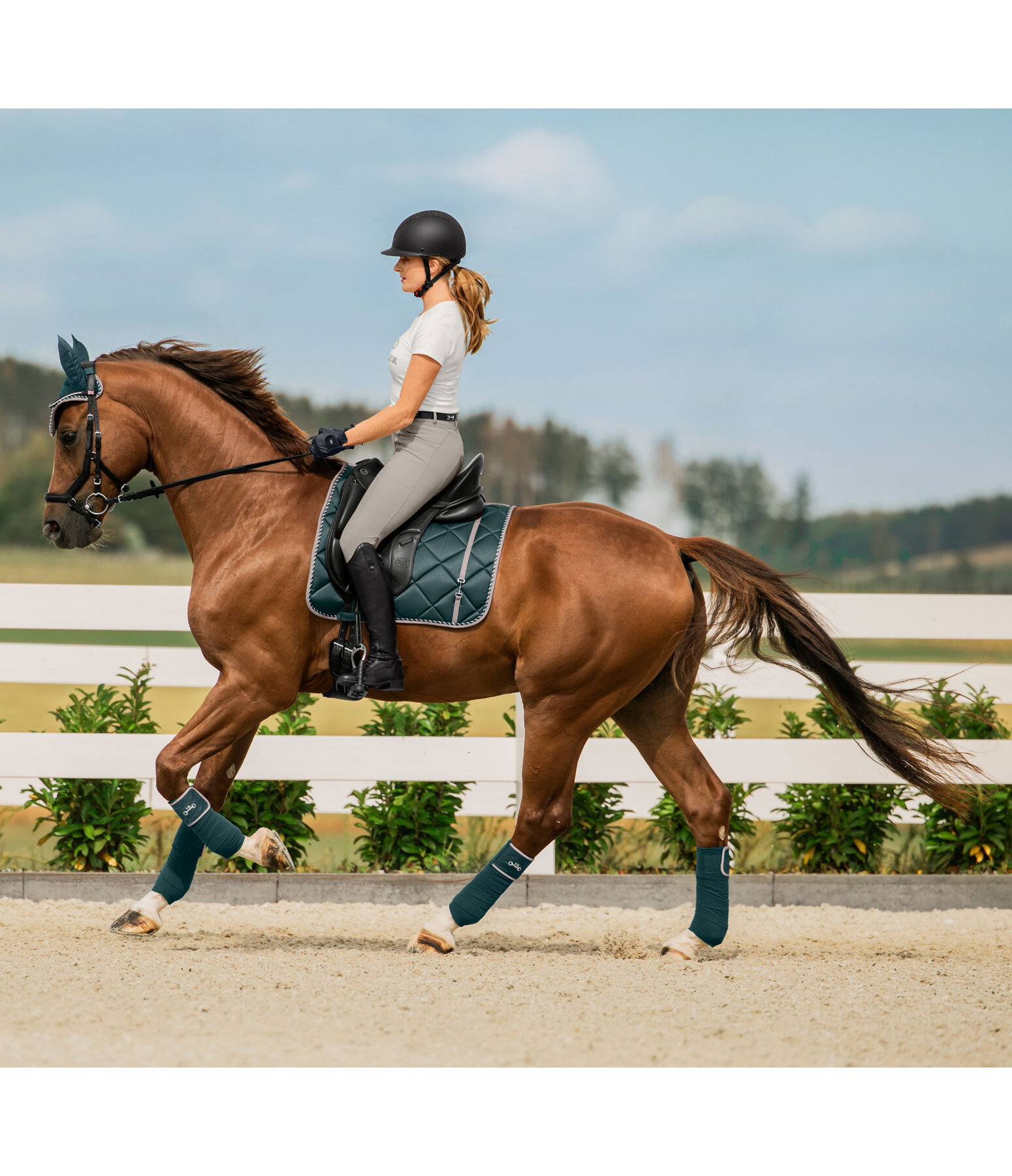 Saddle Pad Classy