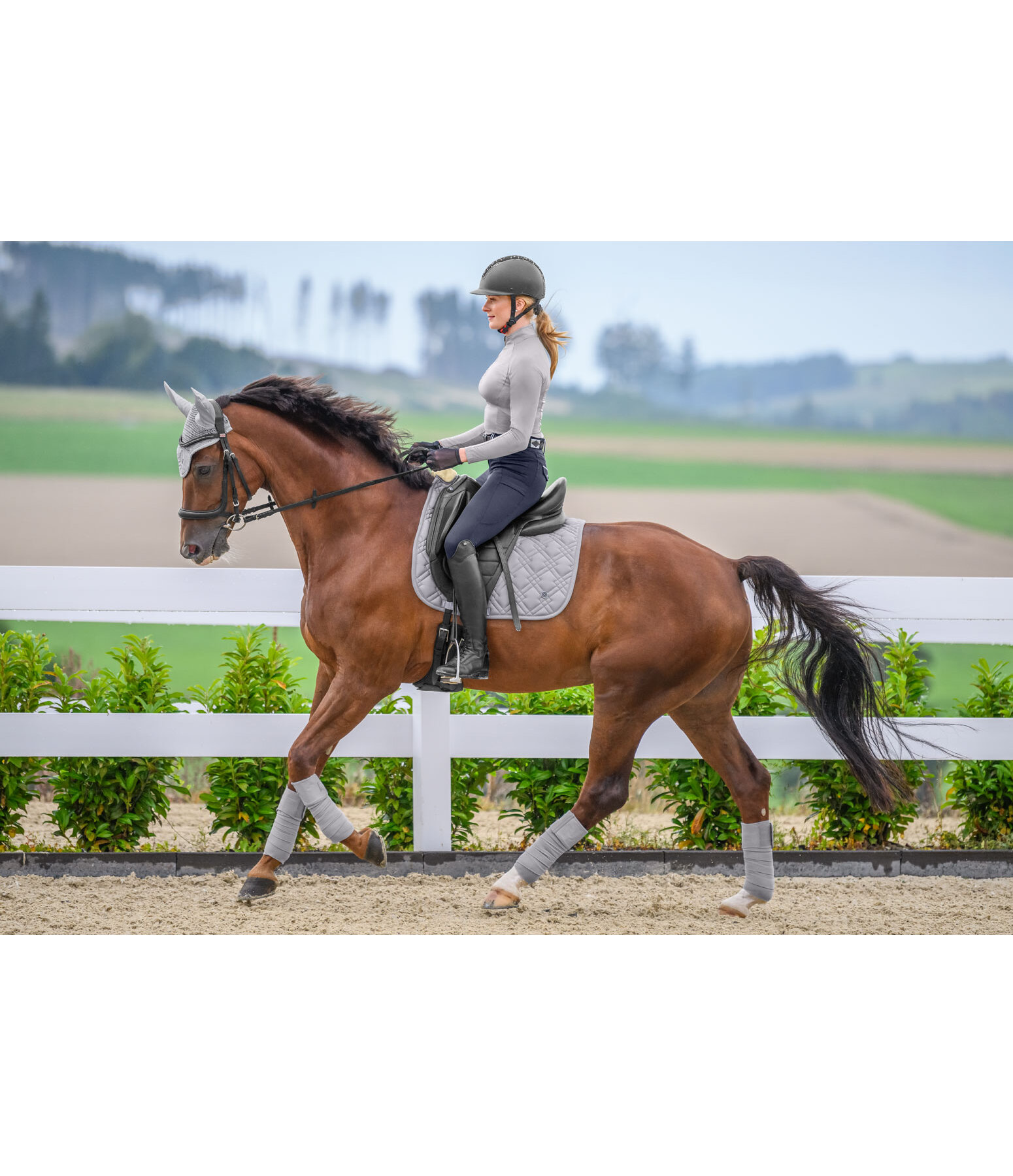 Saddle Pad Astro