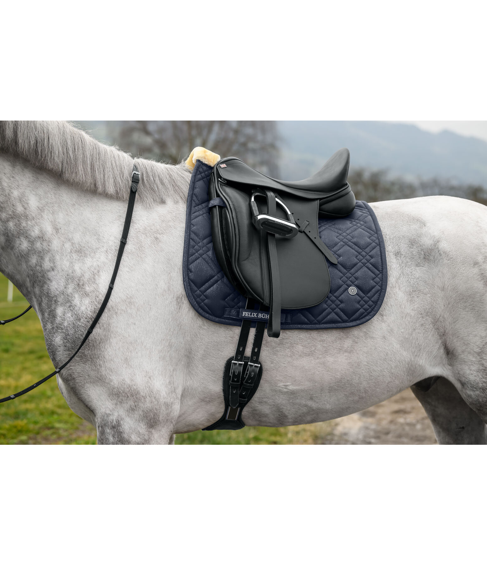 Saddle Pad Astro