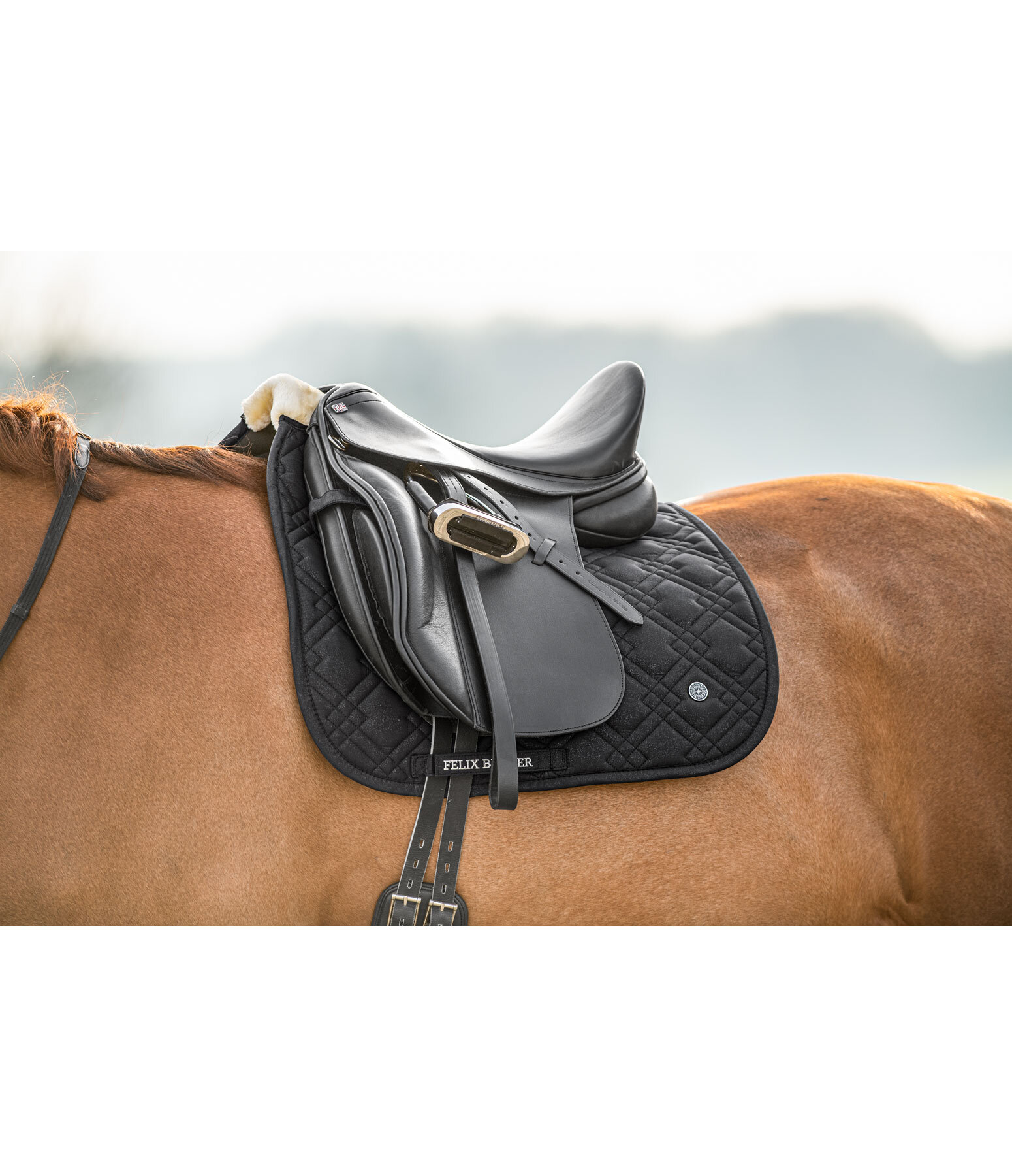 Saddle Pad Astro