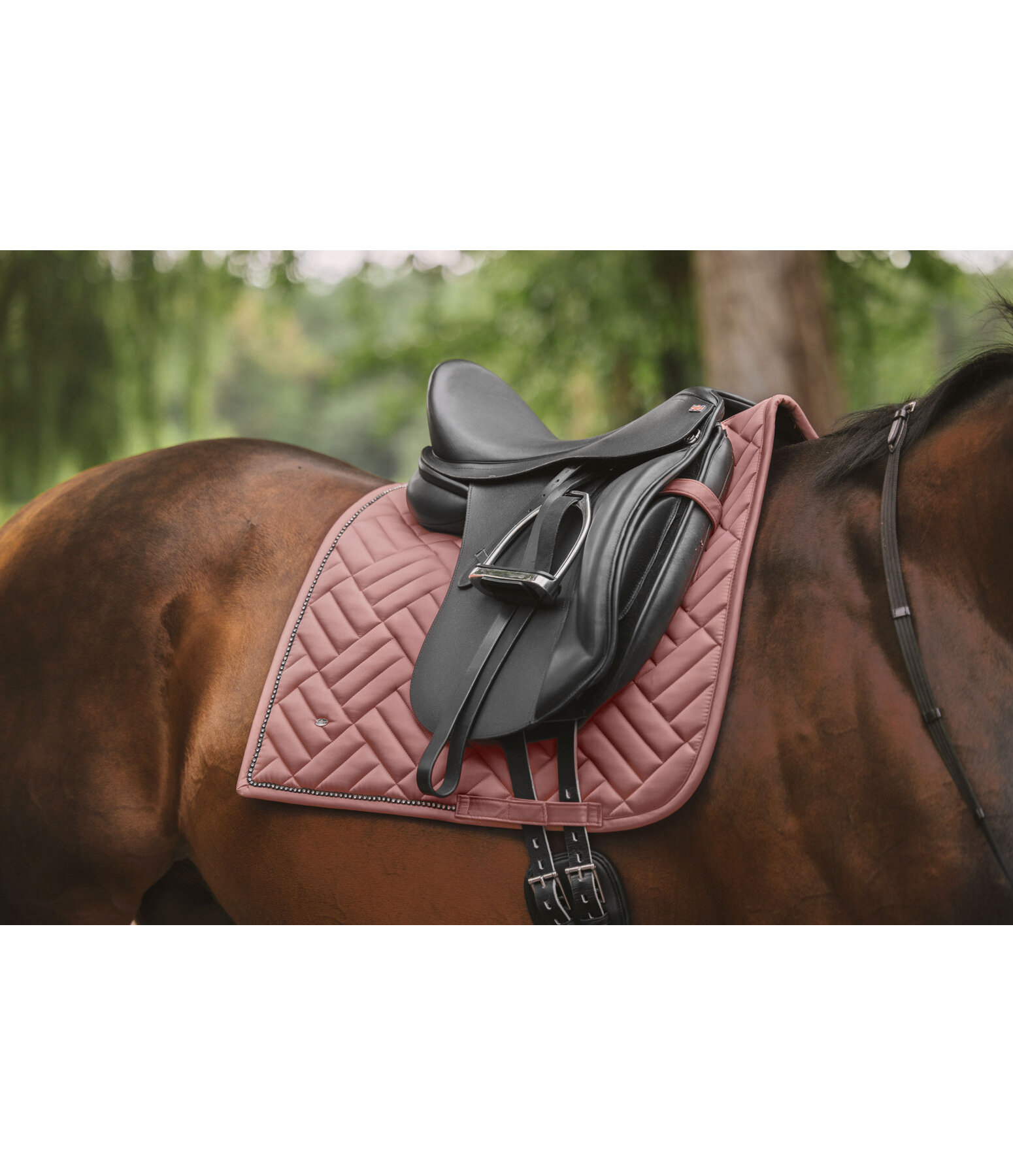 Saddle Pad Brilliant