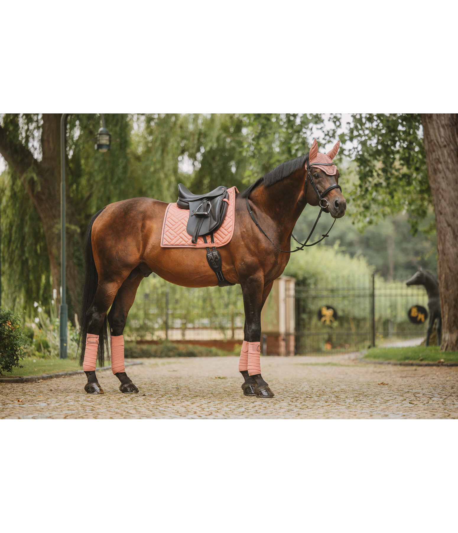 Saddle Pad Brilliant