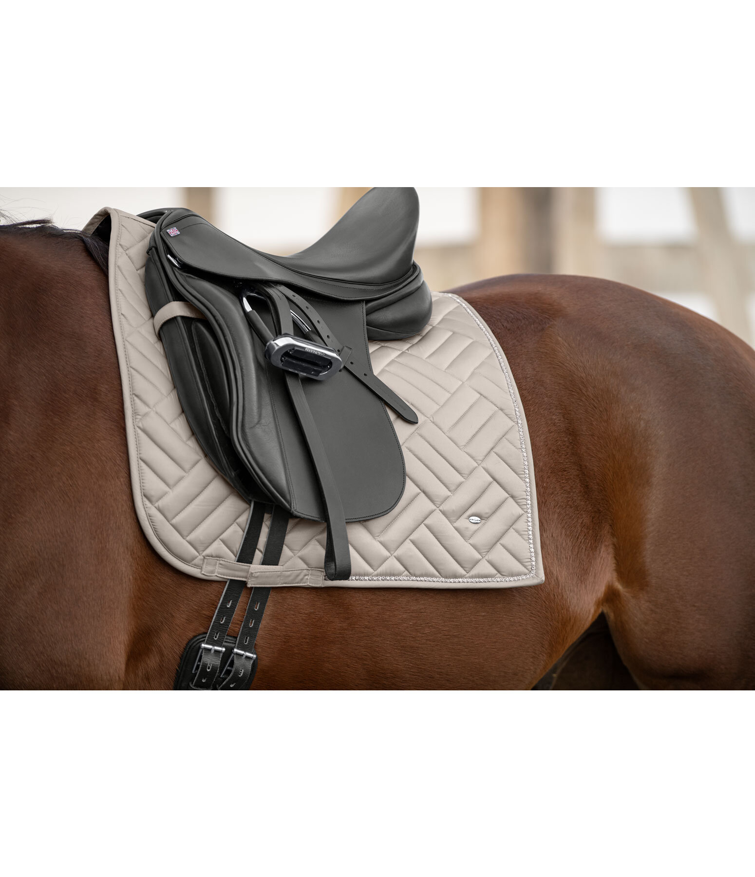 Saddle Pad Brilliant