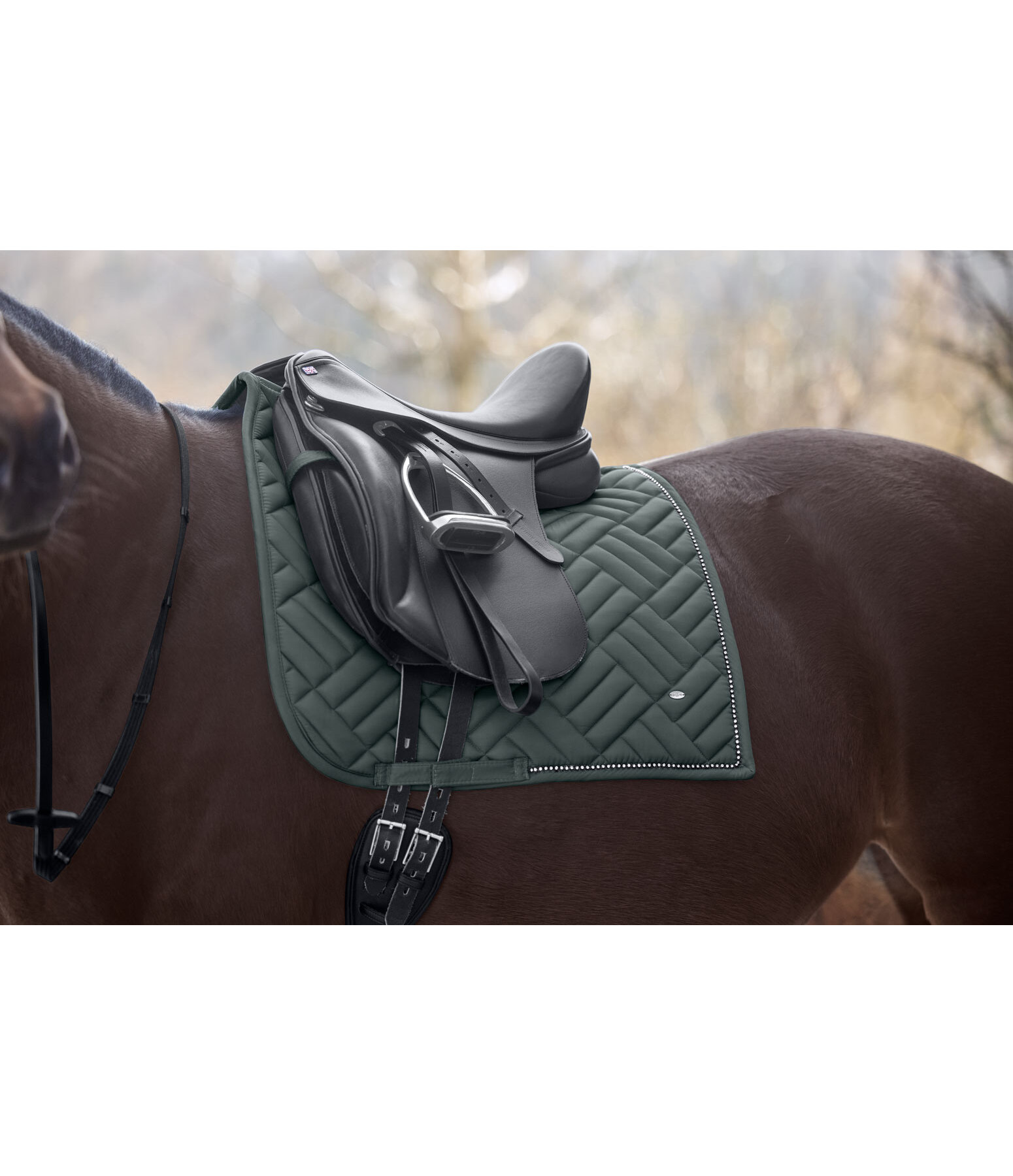 Saddle Pad Brilliant