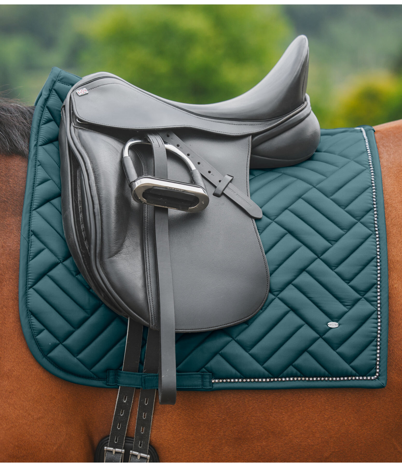 Saddle Pad Brilliant
