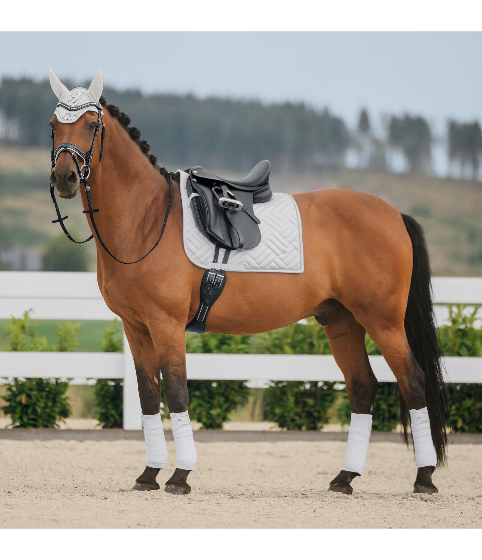 Saddle Pad Brilliant
