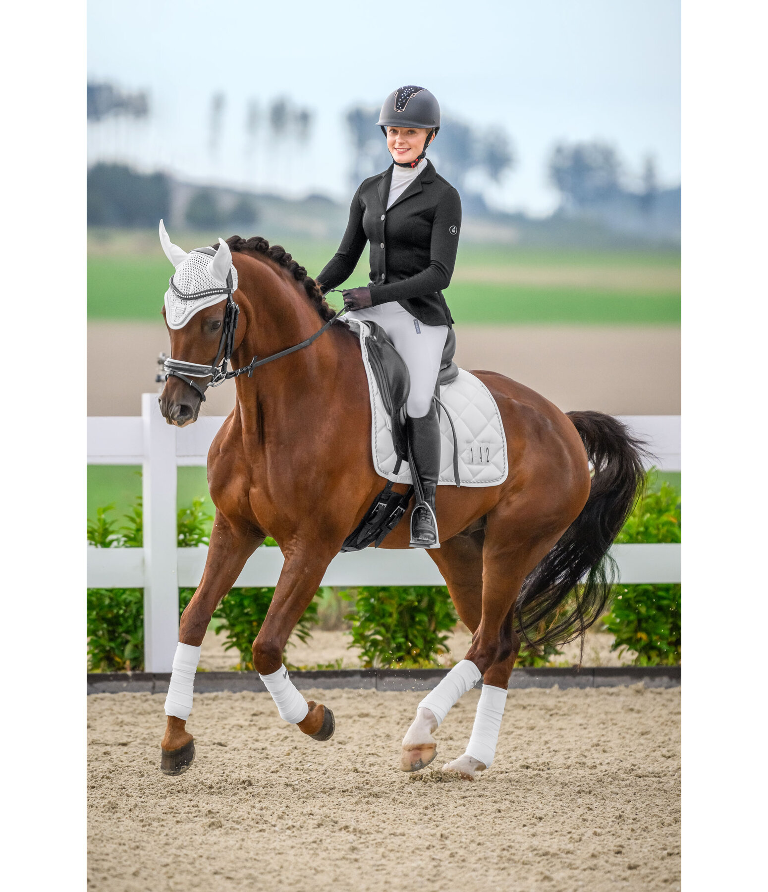 Competition Saddle Pad Numbers II