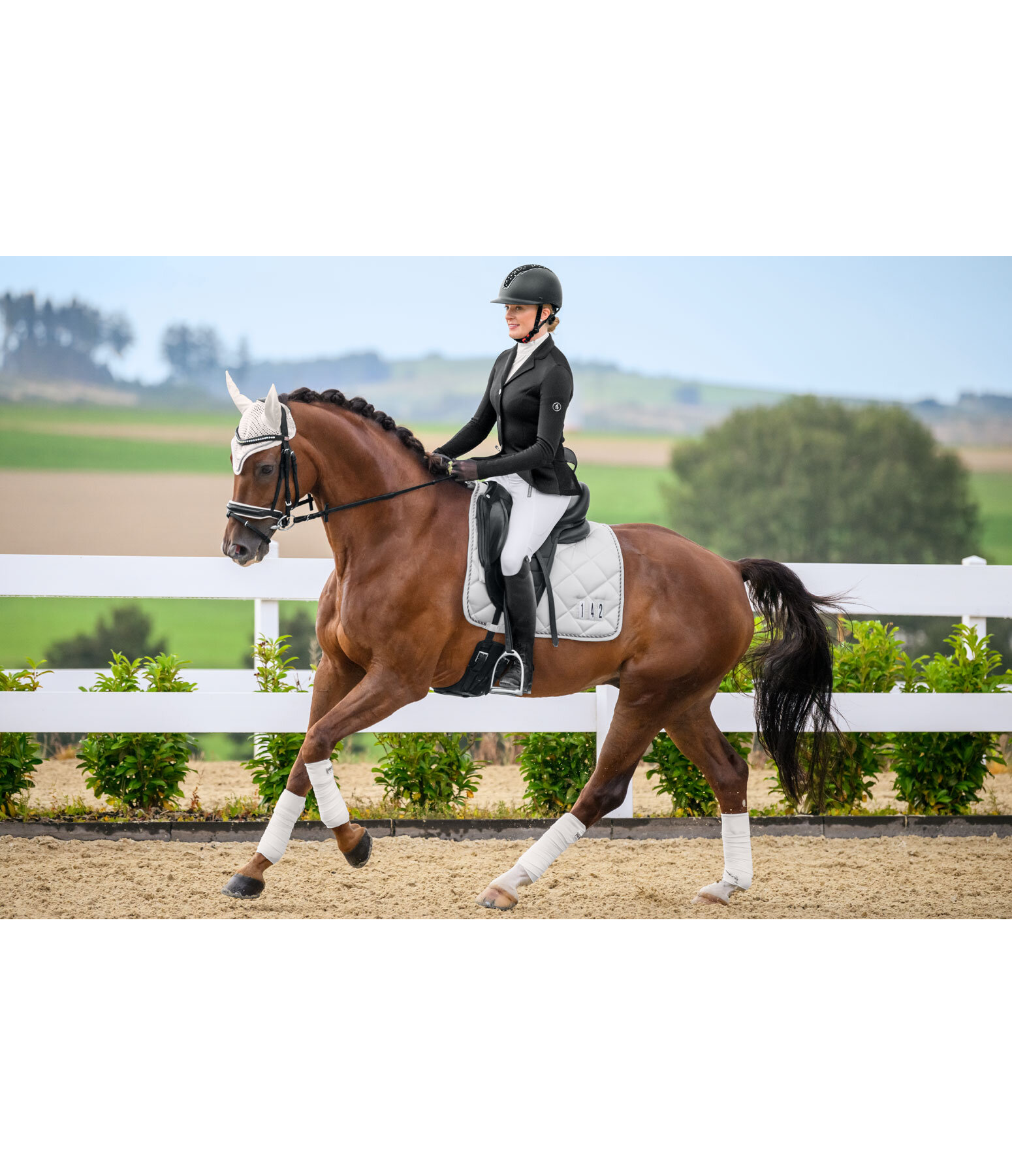 Competition Saddle Pad Numbers II