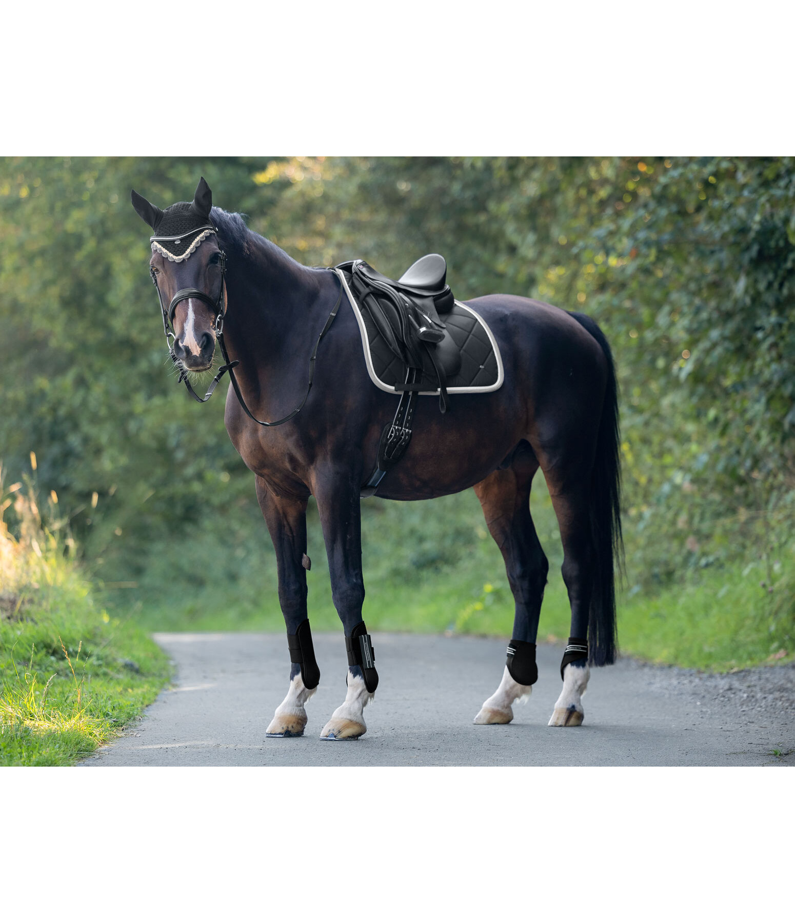 Saddle Pad Primary