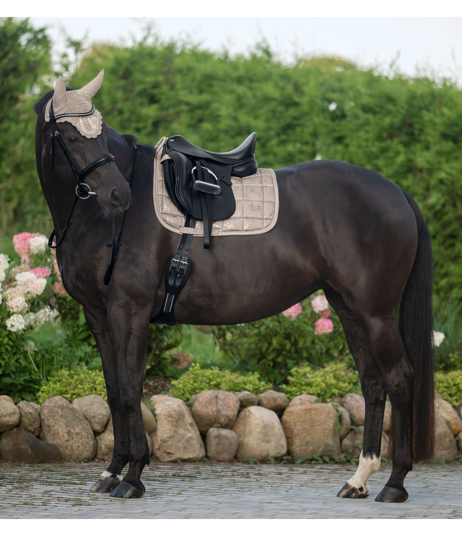 Saddle Pad Signature