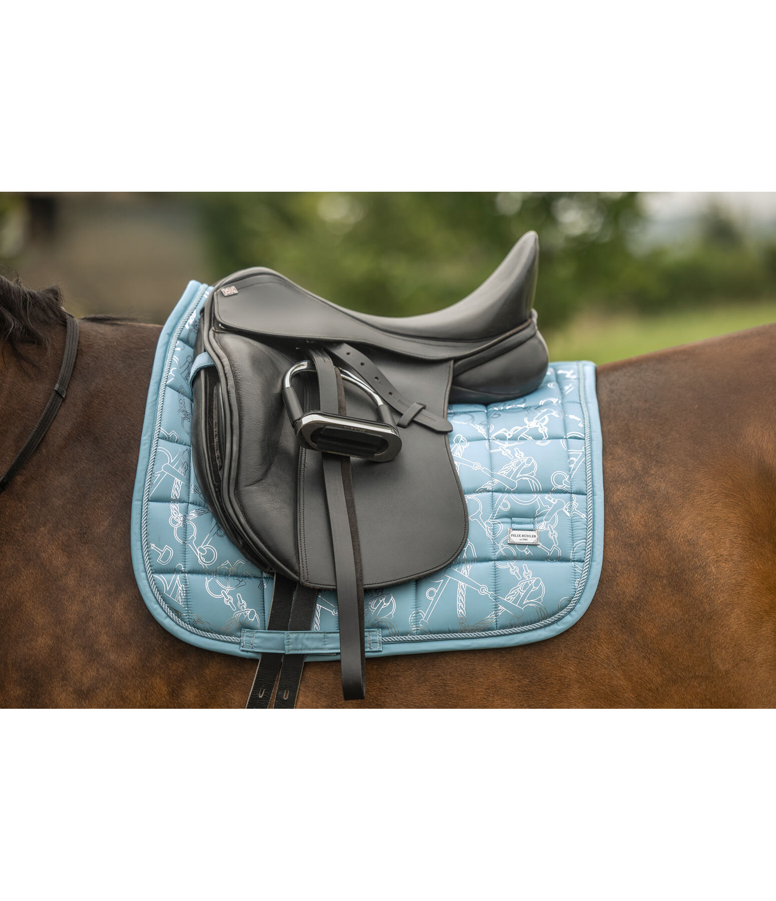 Saddle Pad Signature