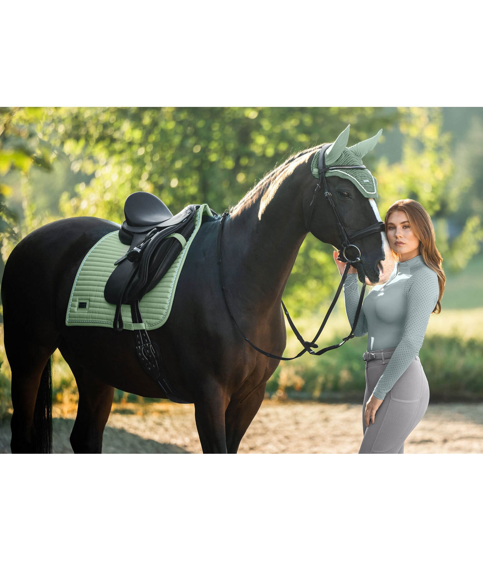 Saddle Pad Sophistication Regular