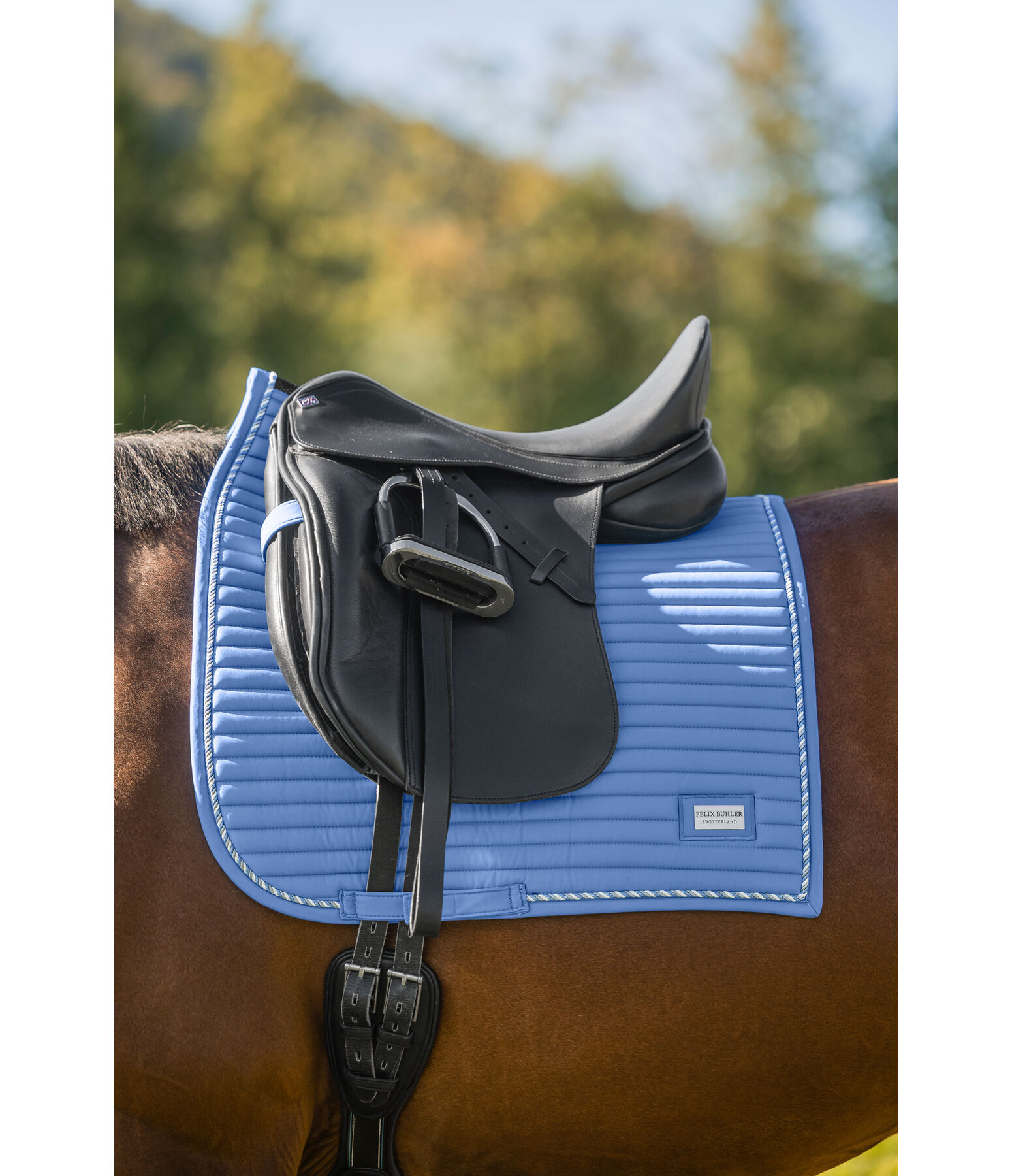 Saddle Pad Sophistication Regular
