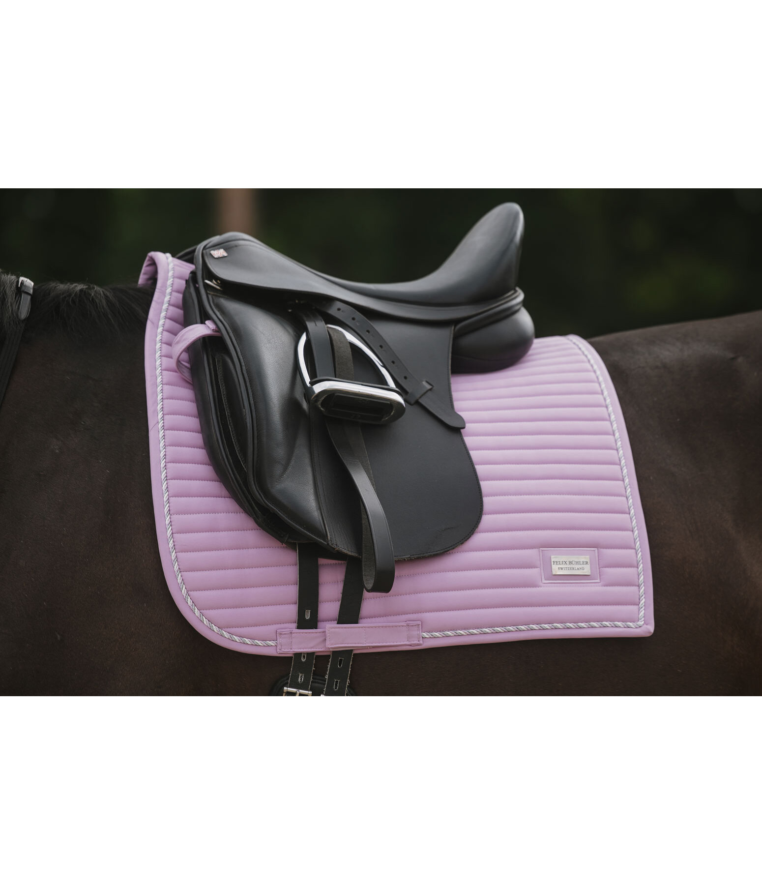 Saddle Pad Sophistication Regular