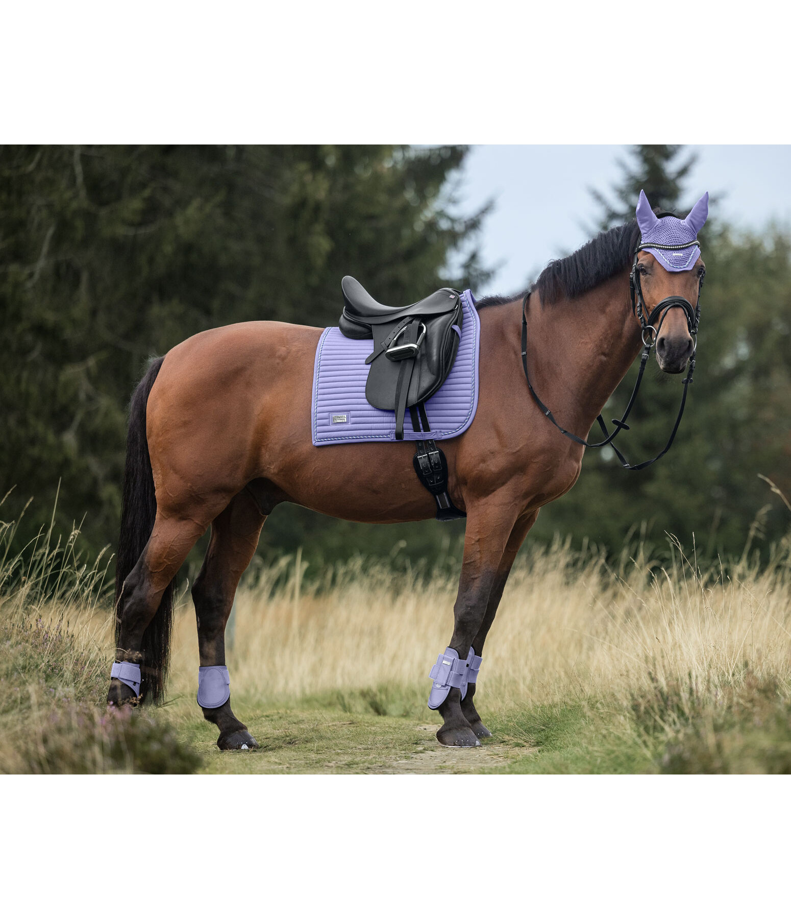 Saddle Pad Sophistication Regular