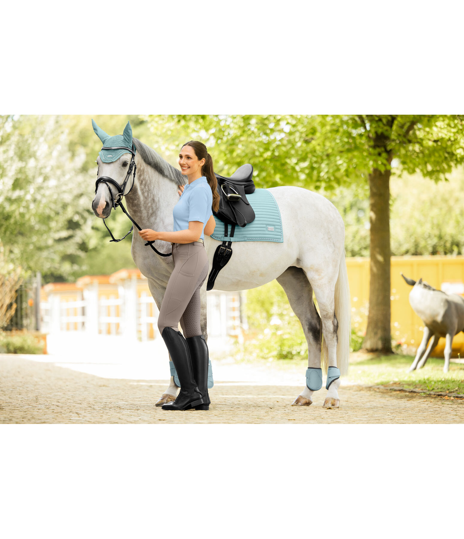 Saddle Pad Sophistication Regular