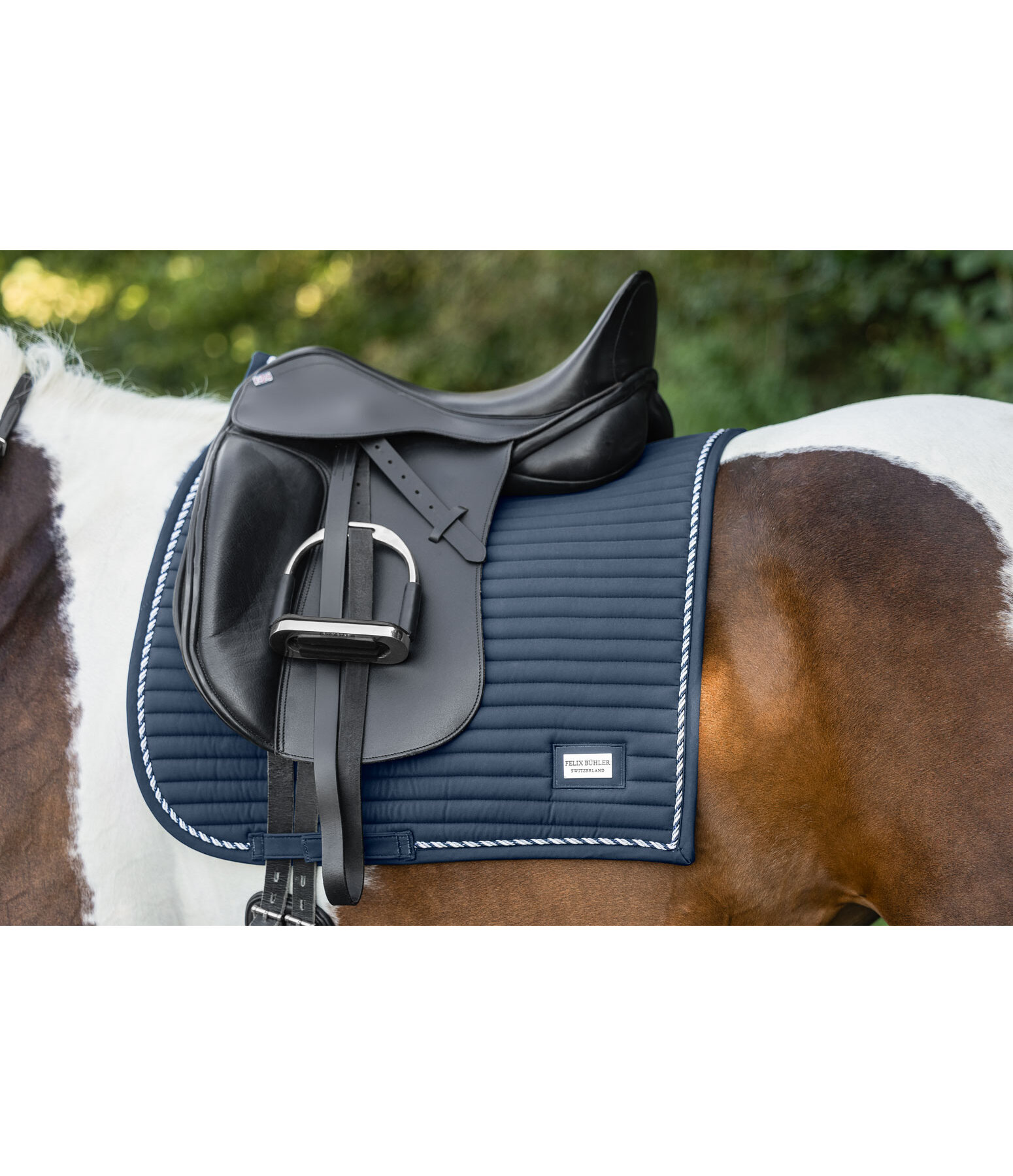 Saddle Pad Sophistication Regular