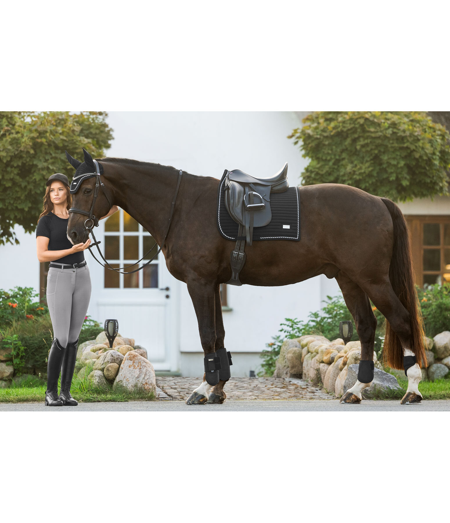 Saddle Pad Sophistication Regular