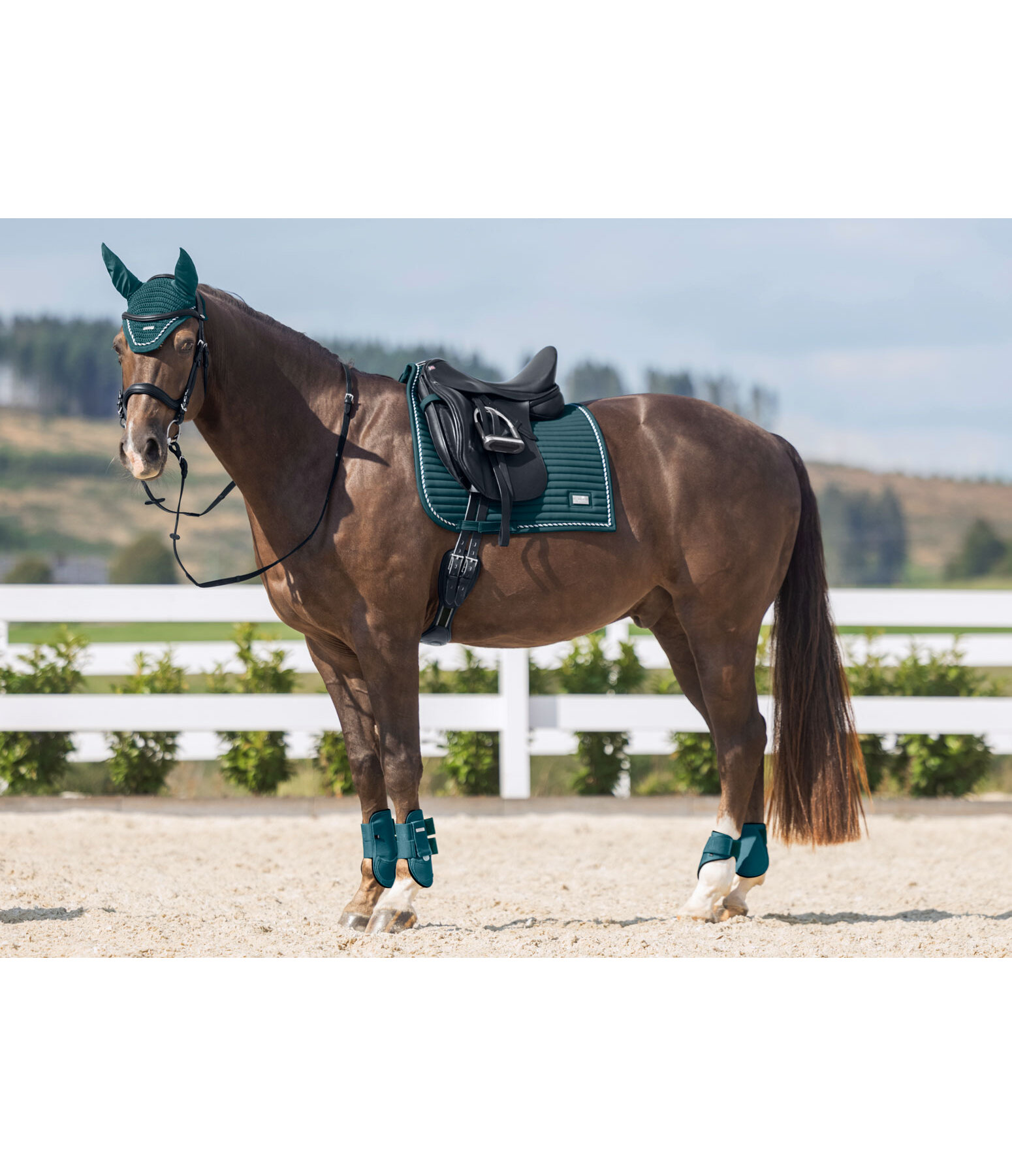 Saddle Pad Sophistication Regular