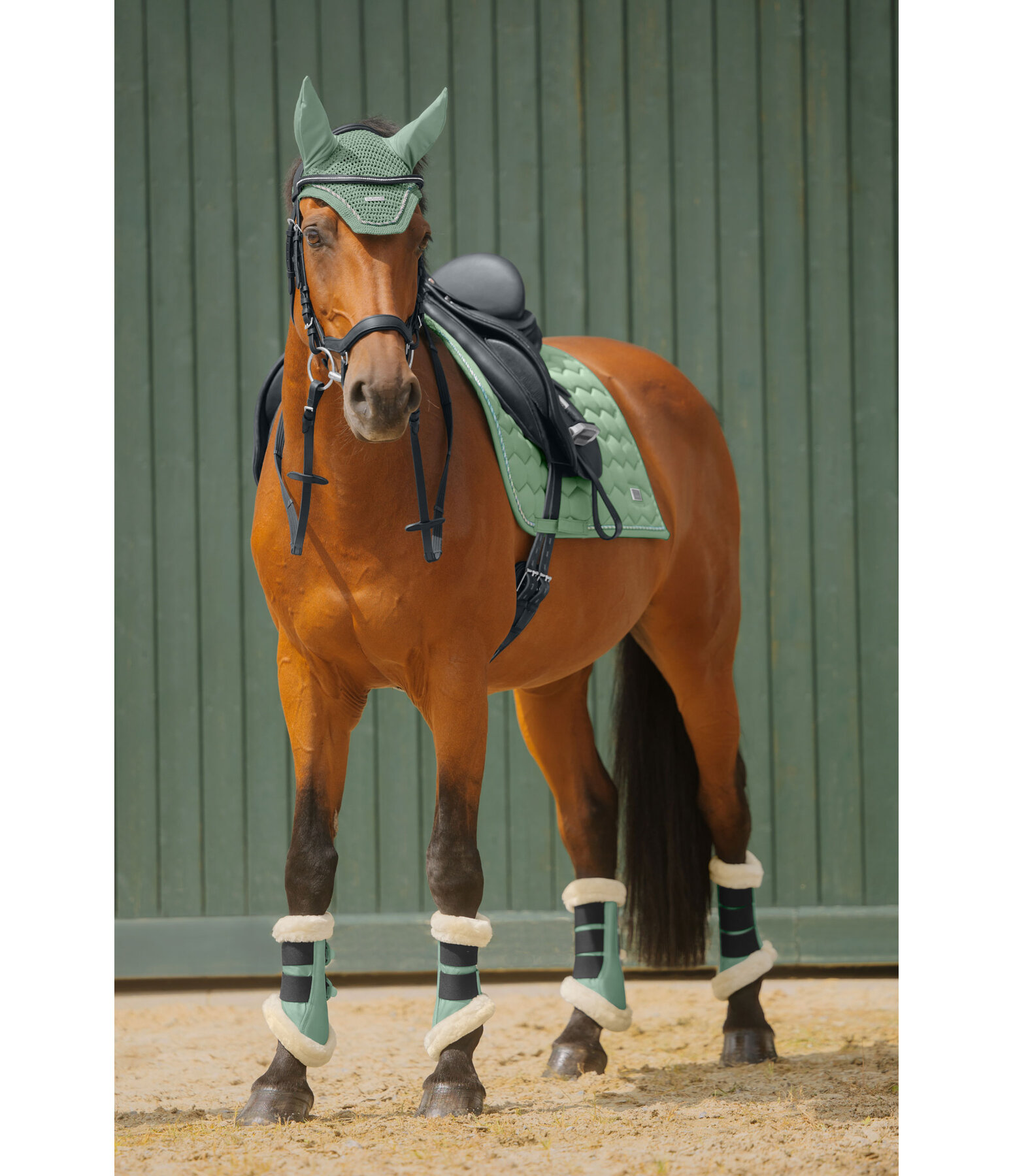 Saddle Pad Sophistication Strapless