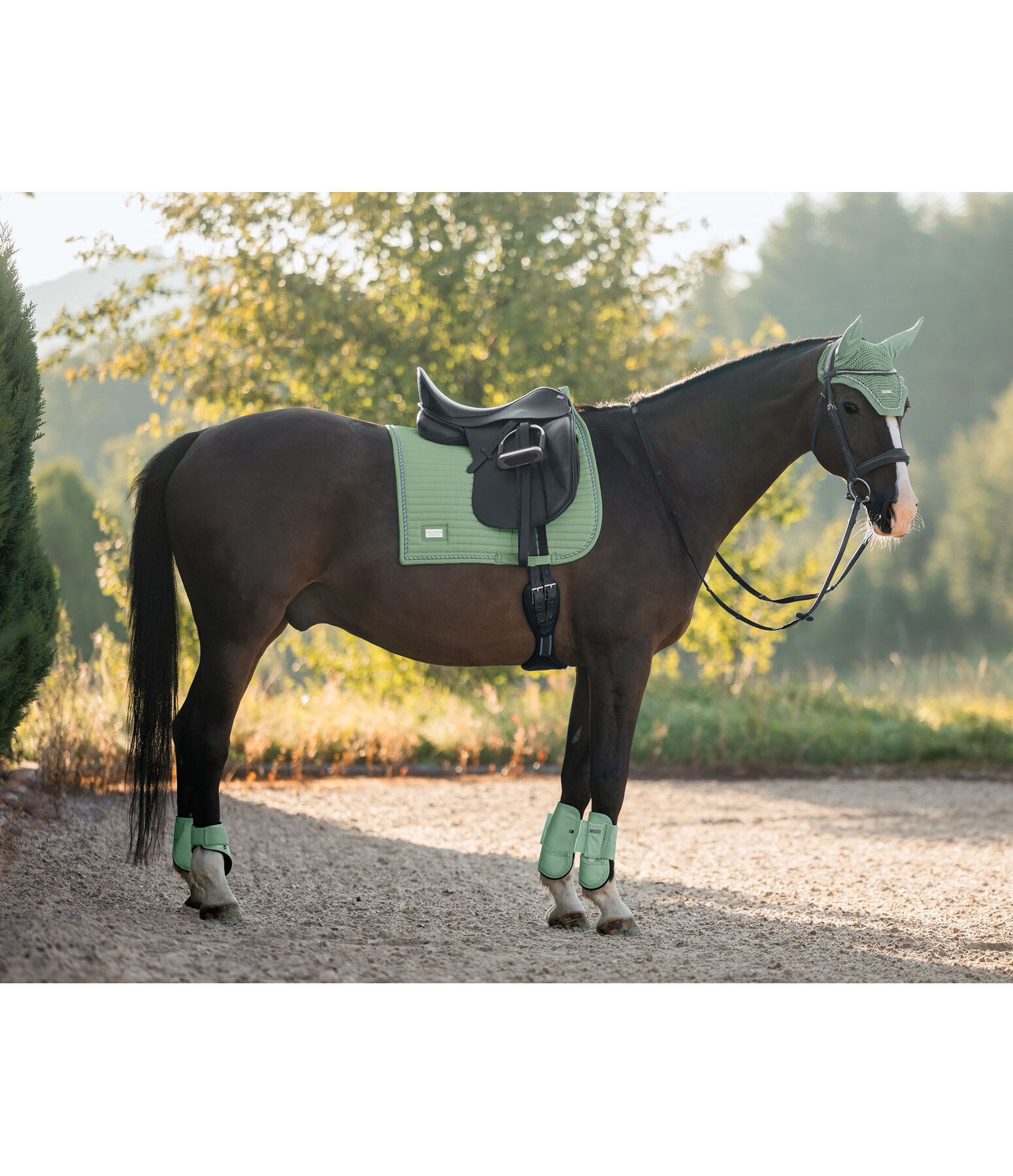 Saddle Pad Sophistication Strapless